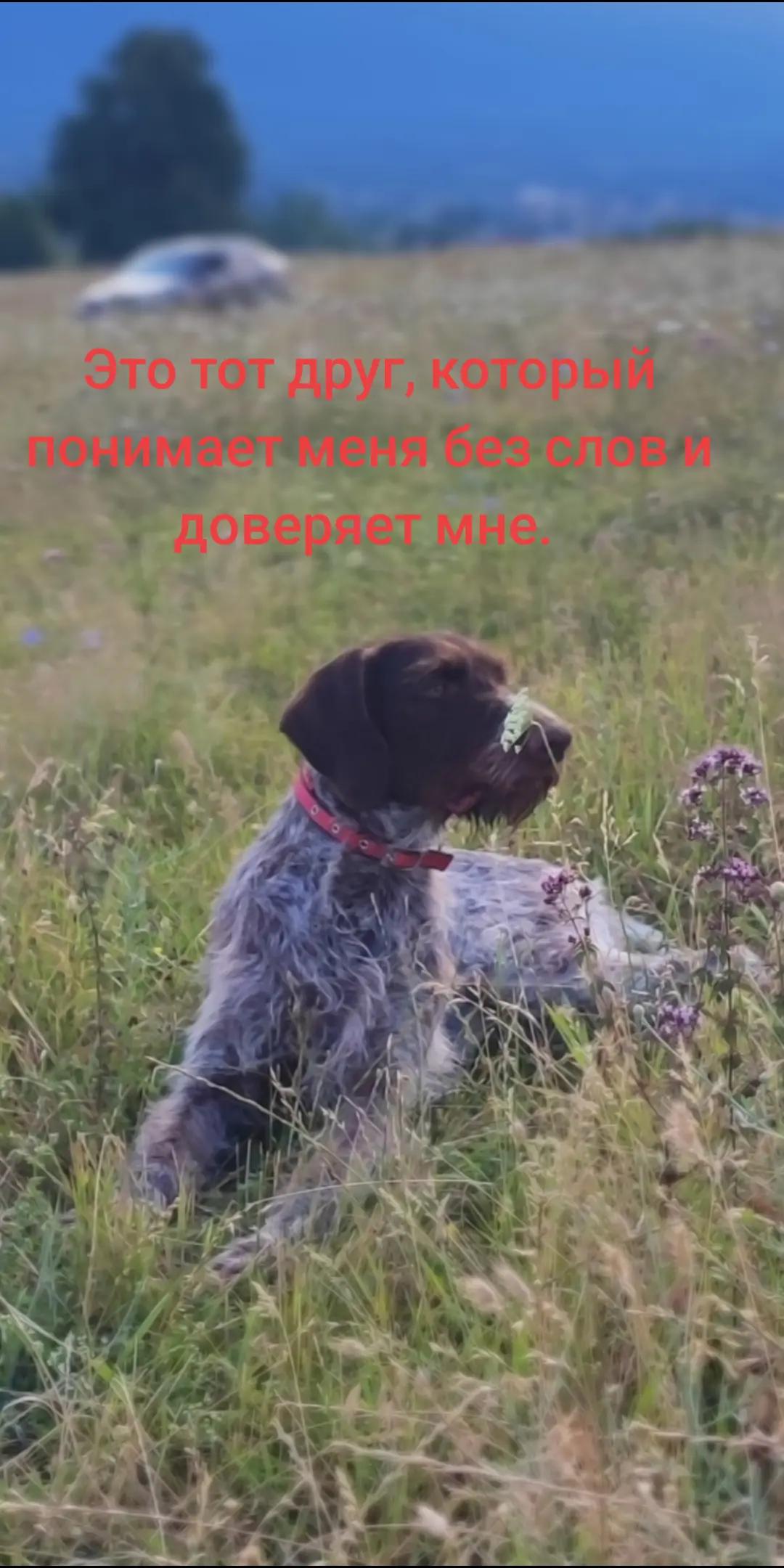 @@ГРУЗИН@