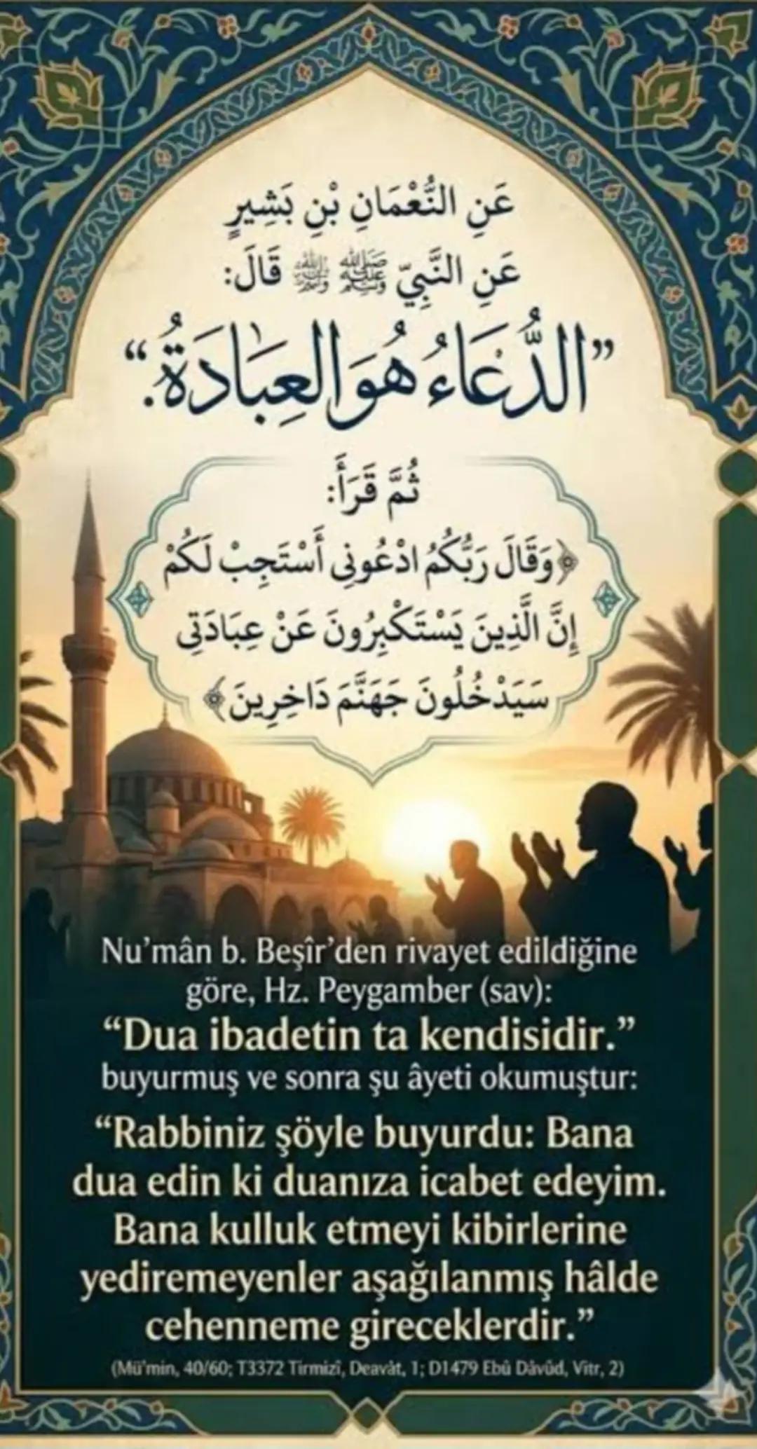 @Hayat Yolu