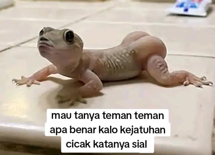 @witrriana&yans