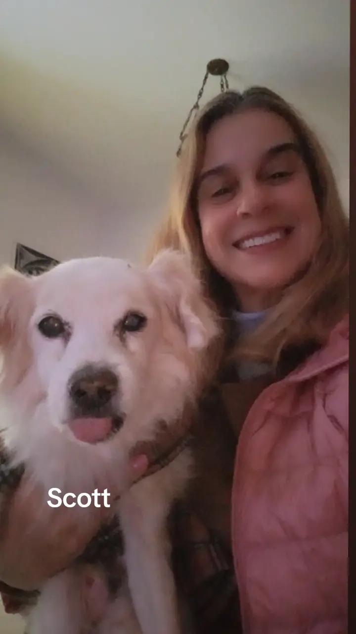 @Dogsitter