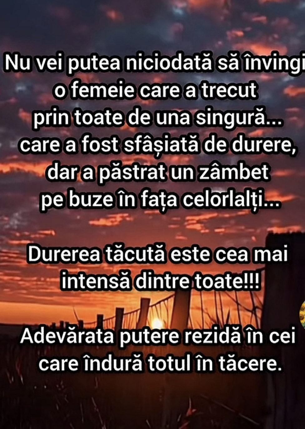 @lena