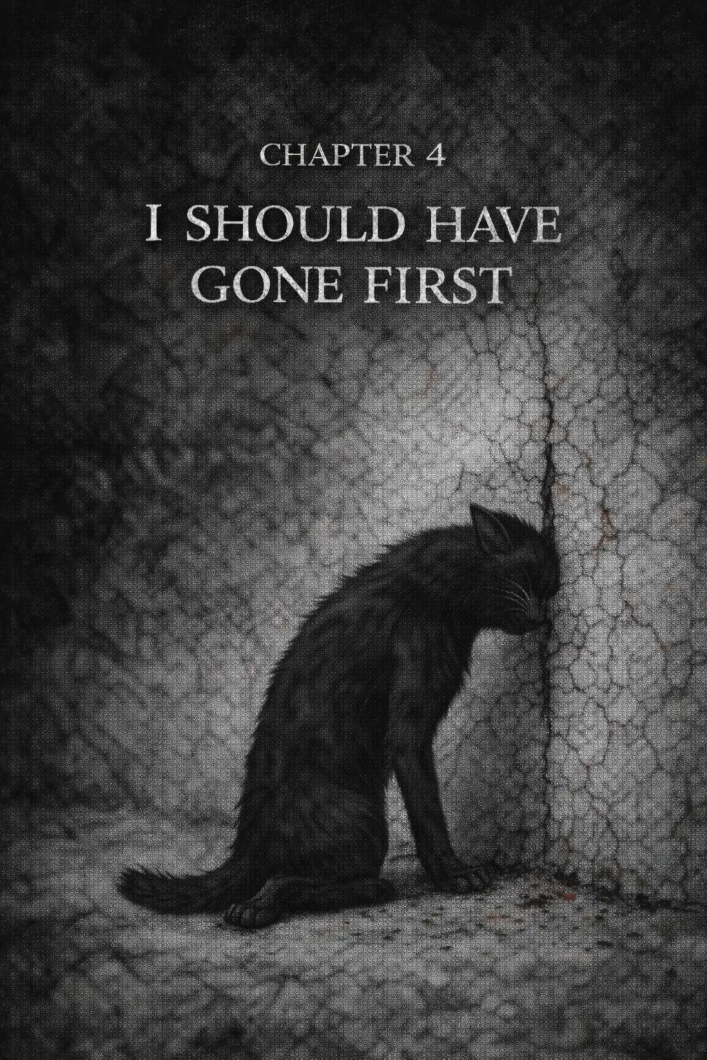 @Random Cat Stuff