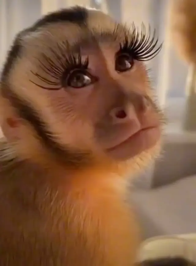 @𝓜𝓐𝓡𝓖𝓘𝓔 𝓖𝓞𝓓𝓞𝓨🦄🐣🐼