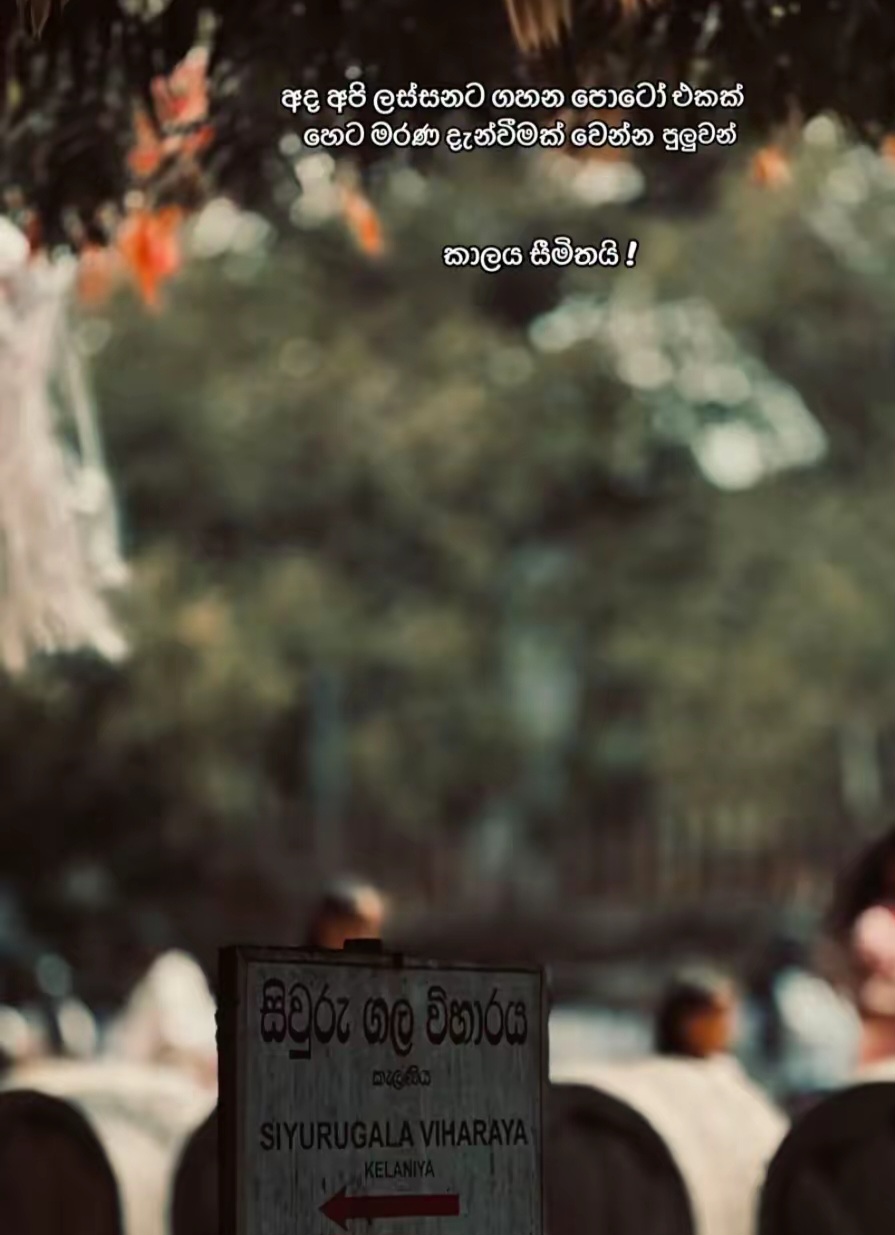 @Senu Rajapaksha