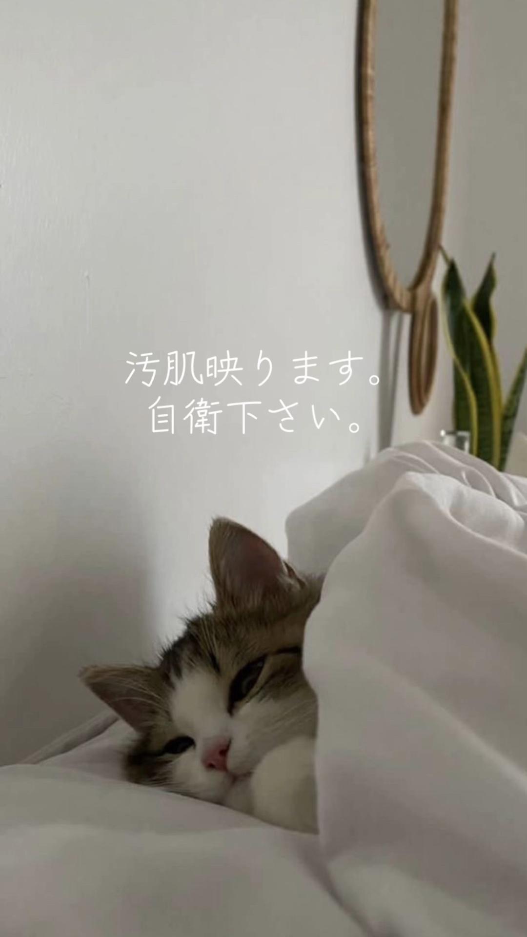 @ヒアルロン茶