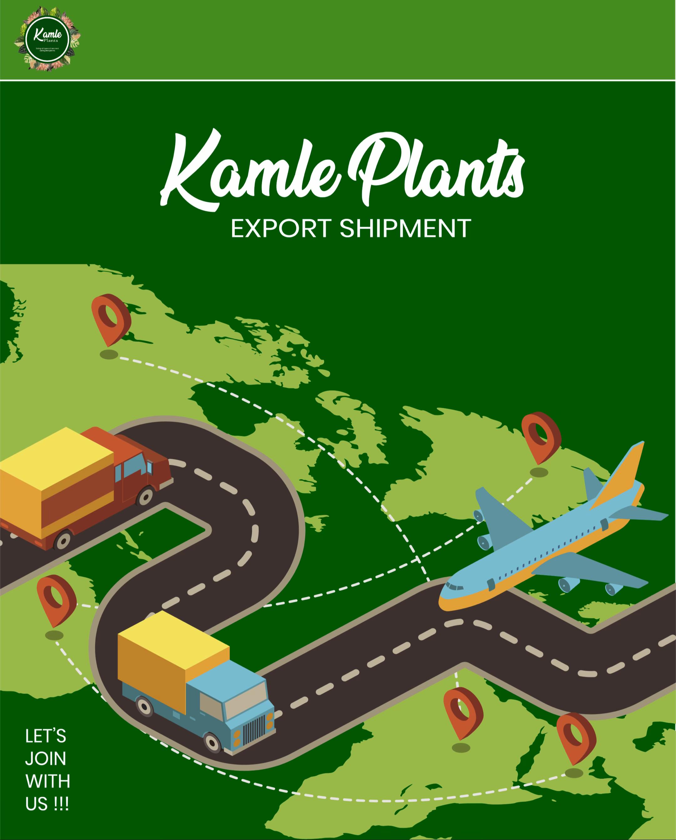@Kamle Plants