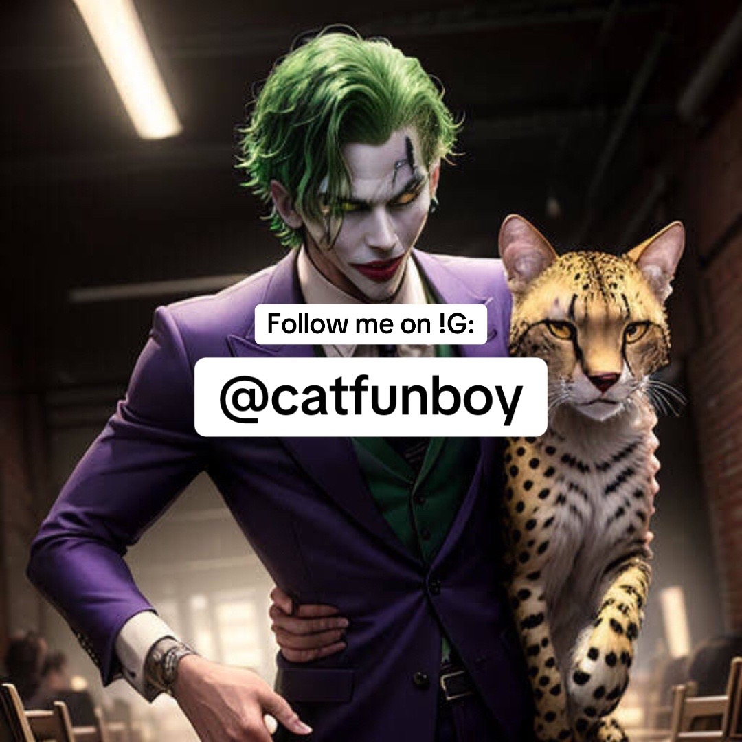 @catfunboy