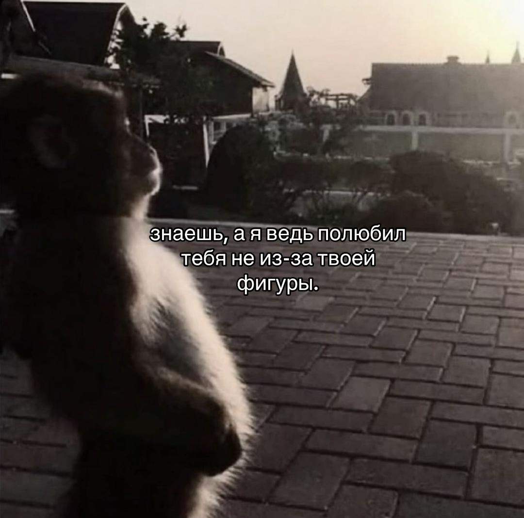 @TНОRFINN'🌗