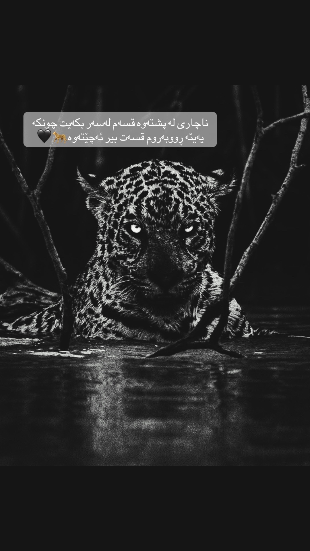 @“حــاجــــیـــاوایـــم⚜️🖤