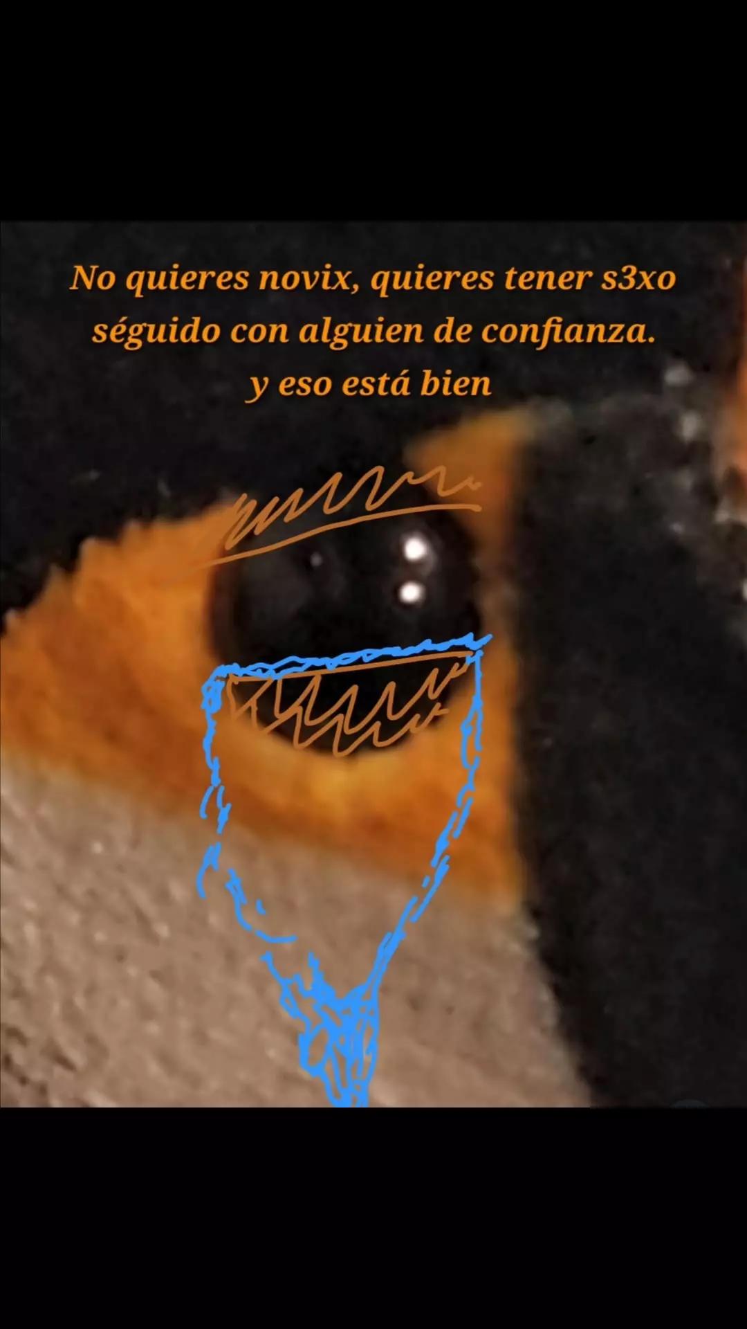 @misterioso459