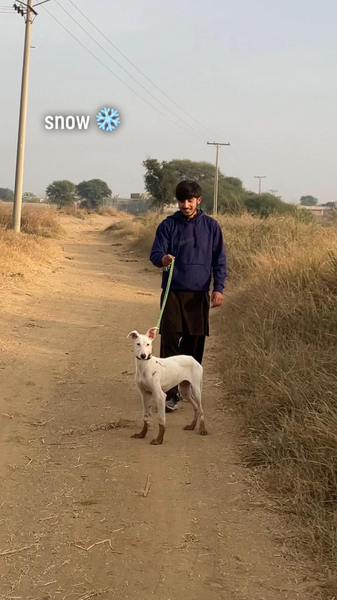 @چوہدری  حمزہ گجر🐾
