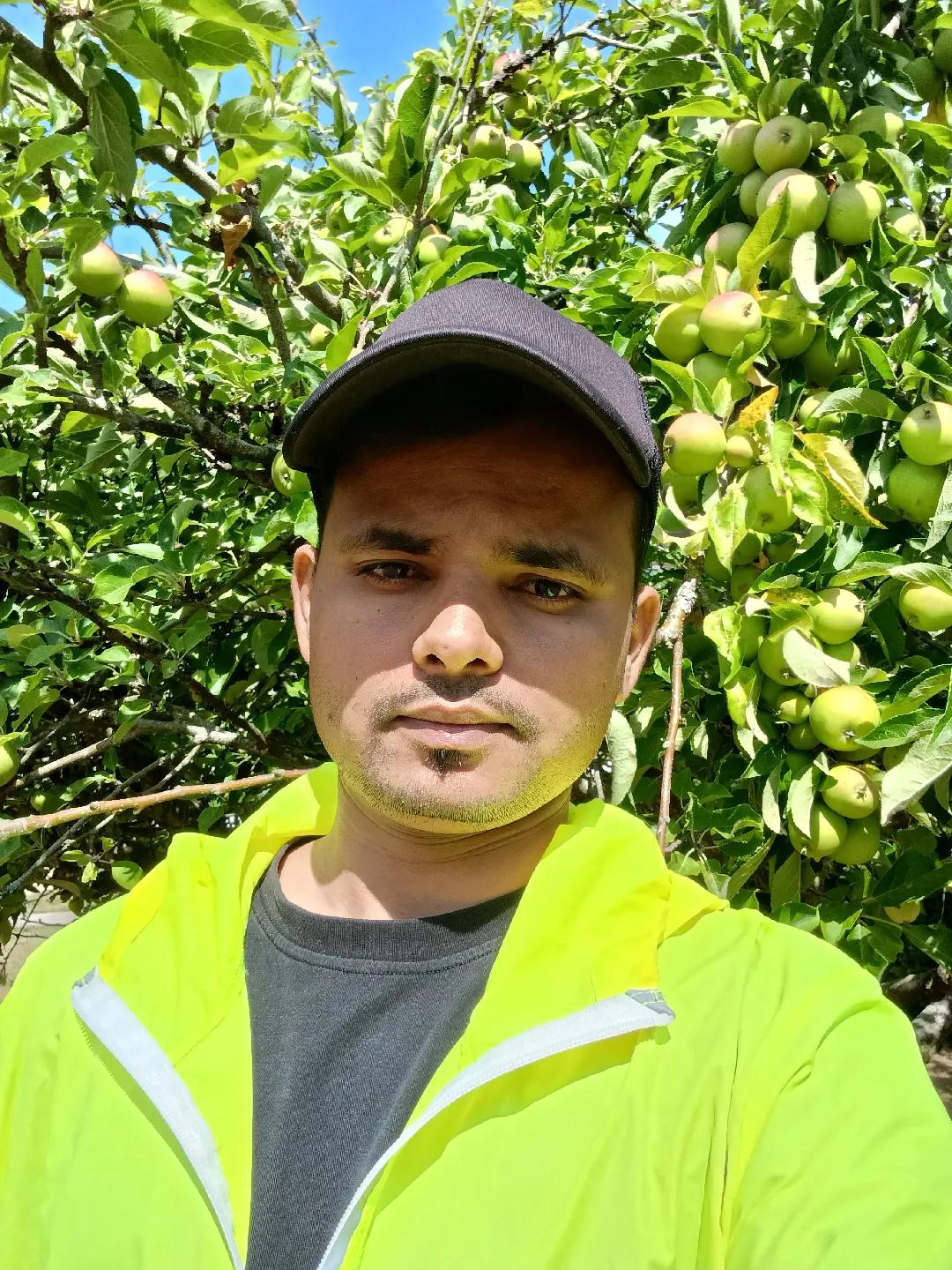 @Rohit yadav777