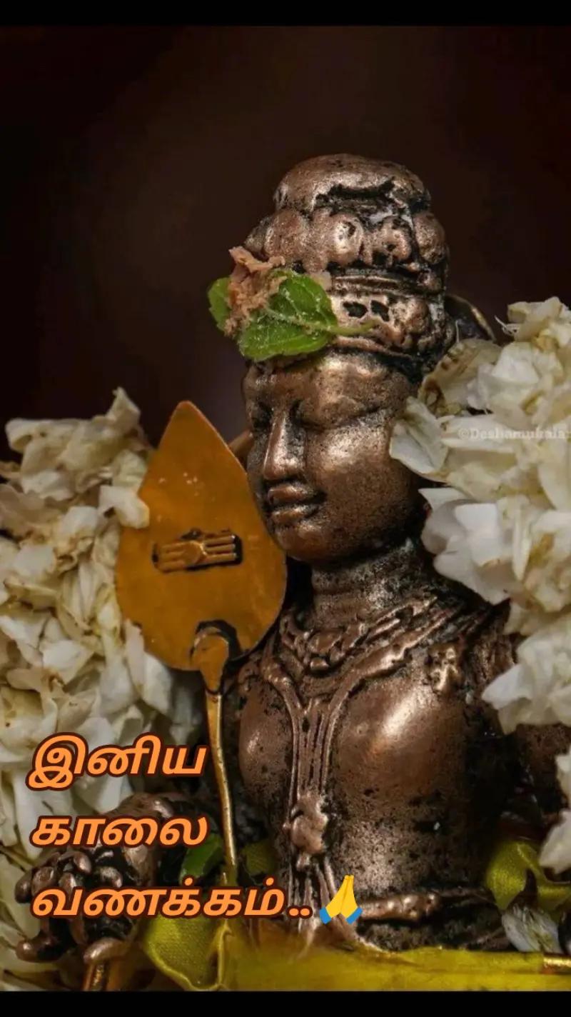 @🌺SKS🌺😘