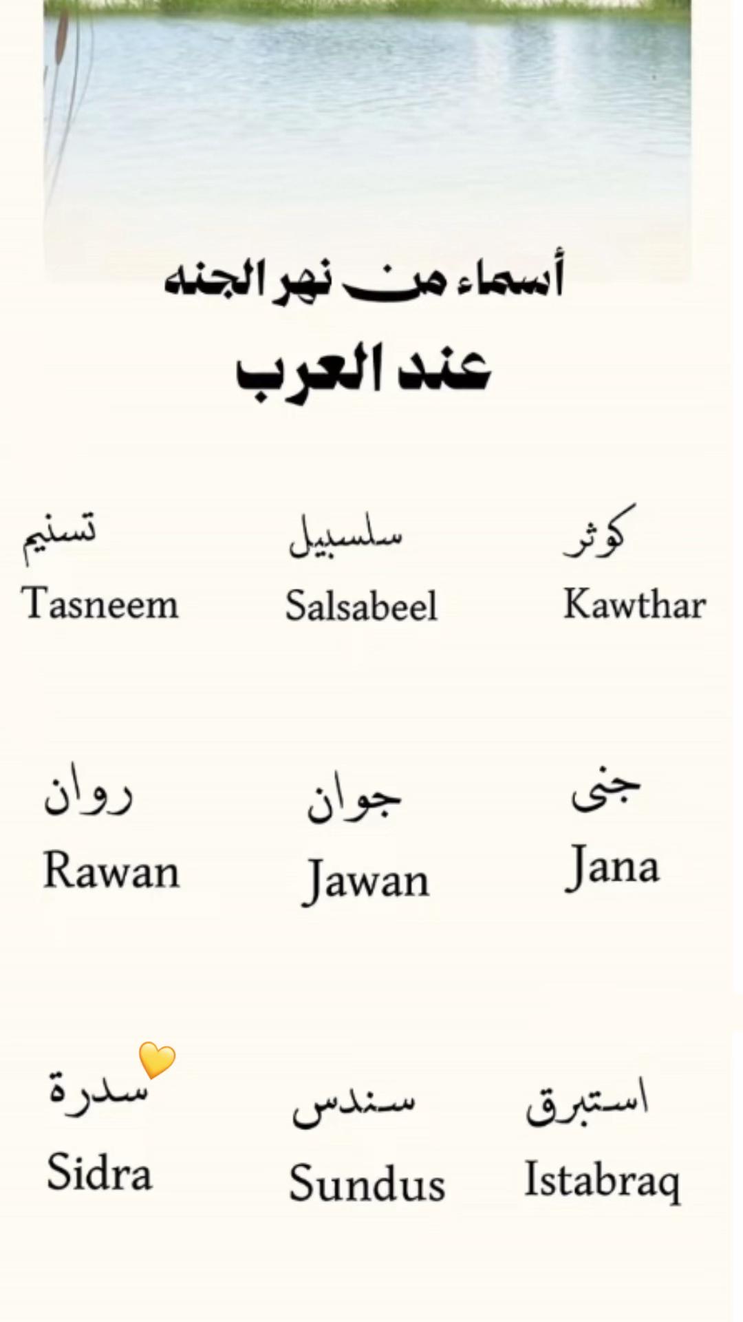 @سدره | Sedra