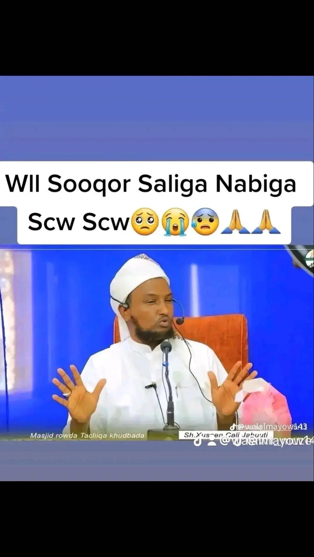 @qalbidhaya309