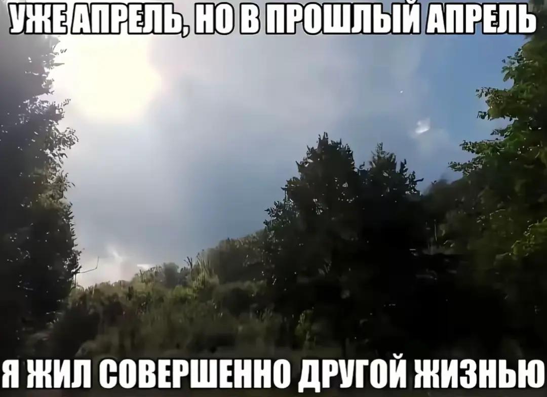 @naizaktivgel