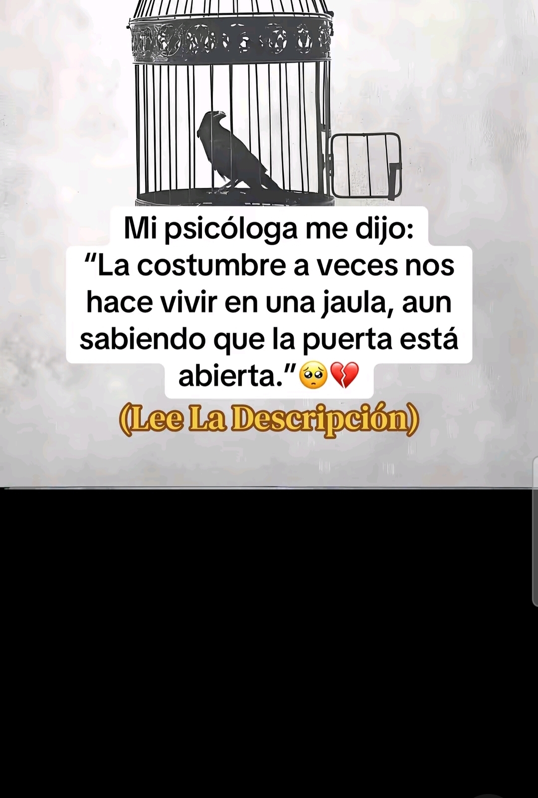 @Karlyta de Gonsalez