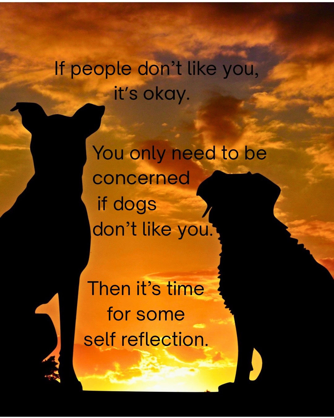 @PeacefulChaosRanch&Sanctuary