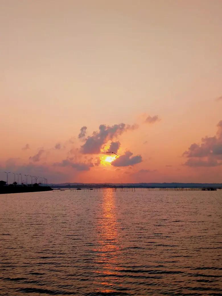 @𝑳𝒊𝒓𝒊𝒌𝒐 ♪
