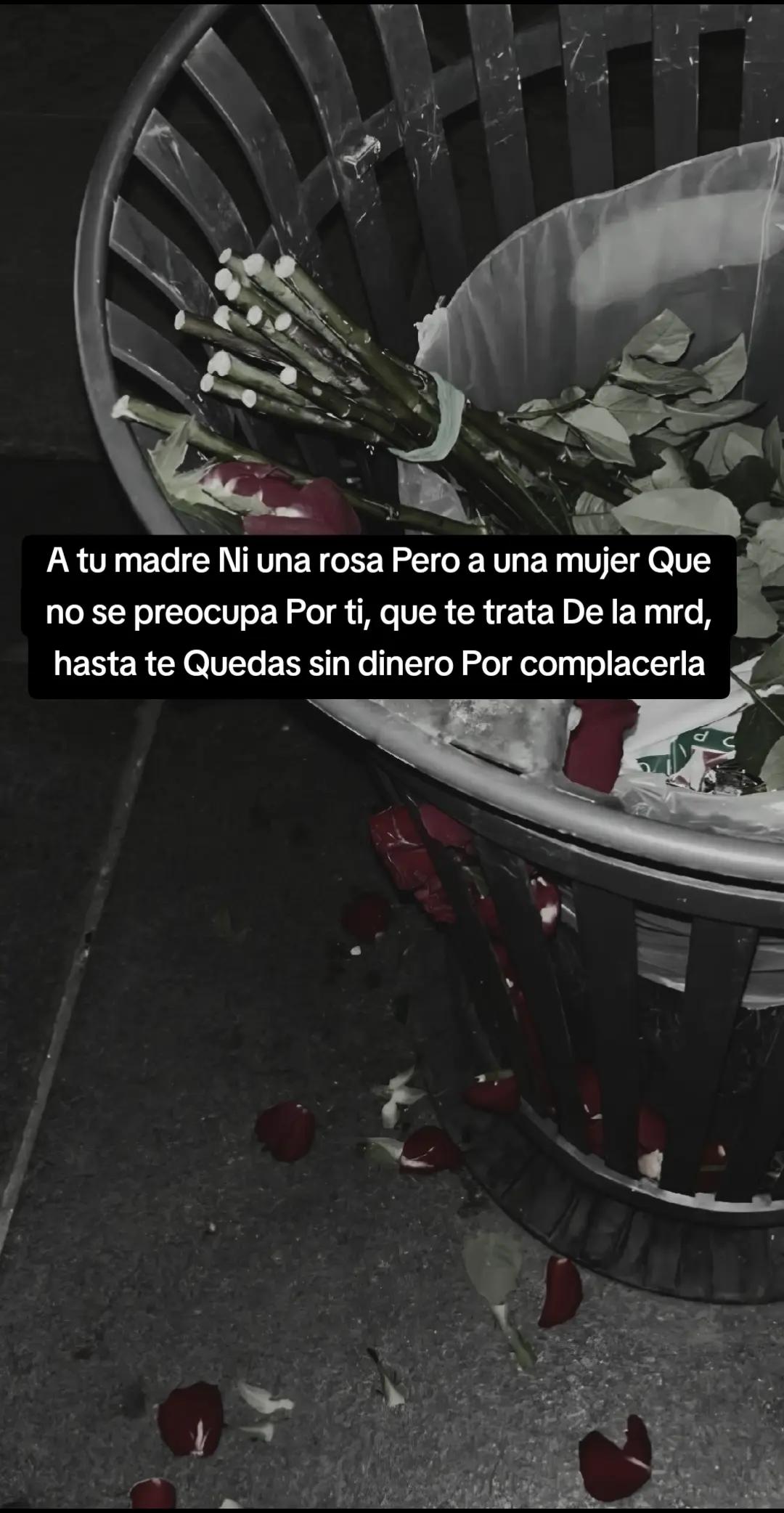 @Deyb Solis