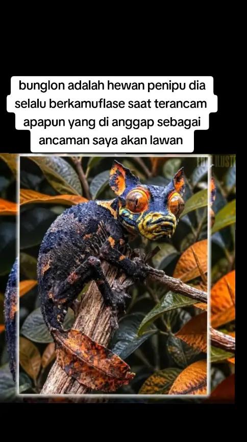 @witrriana&yans
