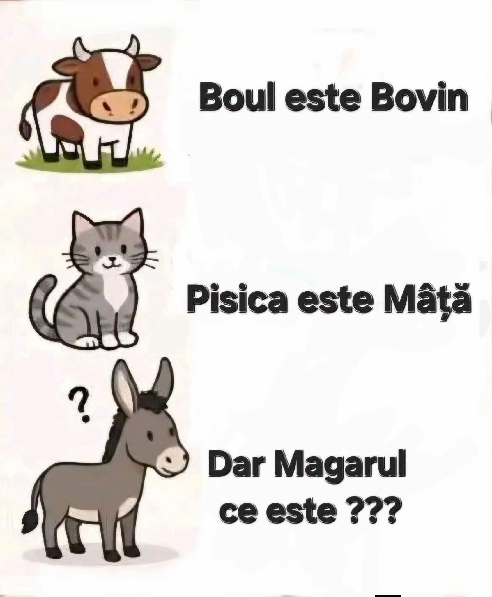 @Alexandru Tănase