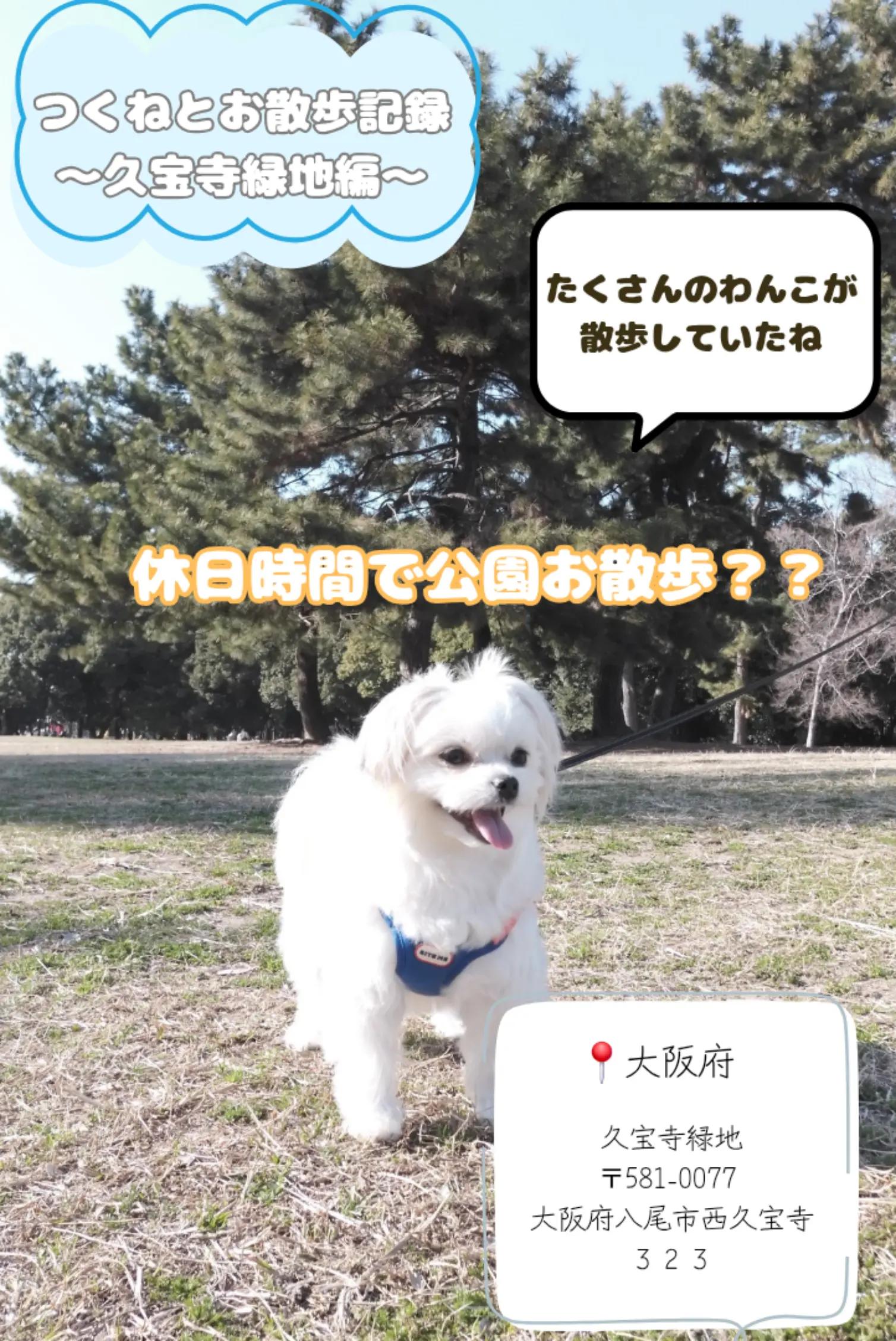 @つくねくん