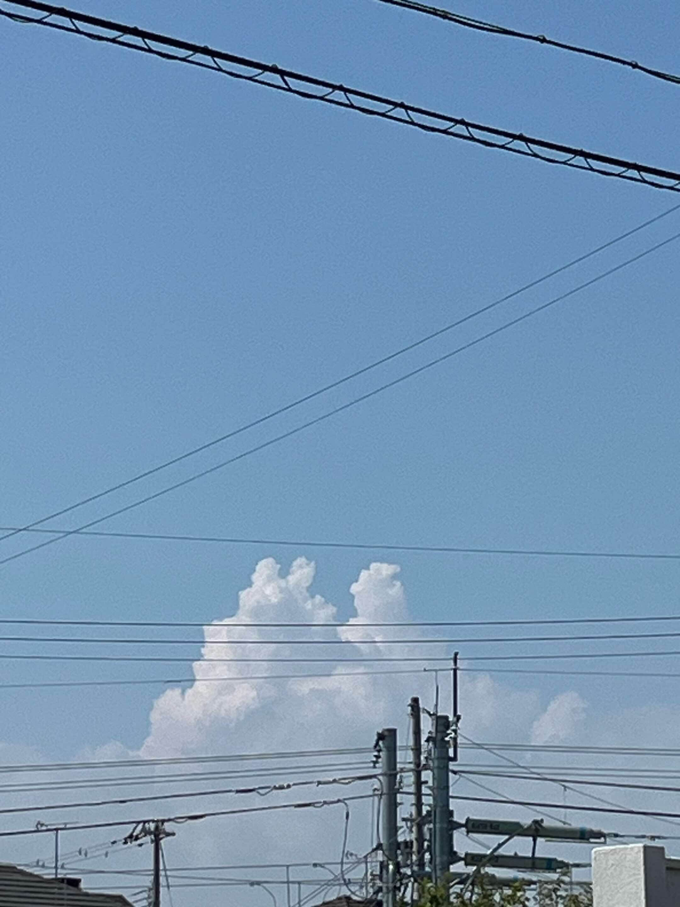 @モデナ家