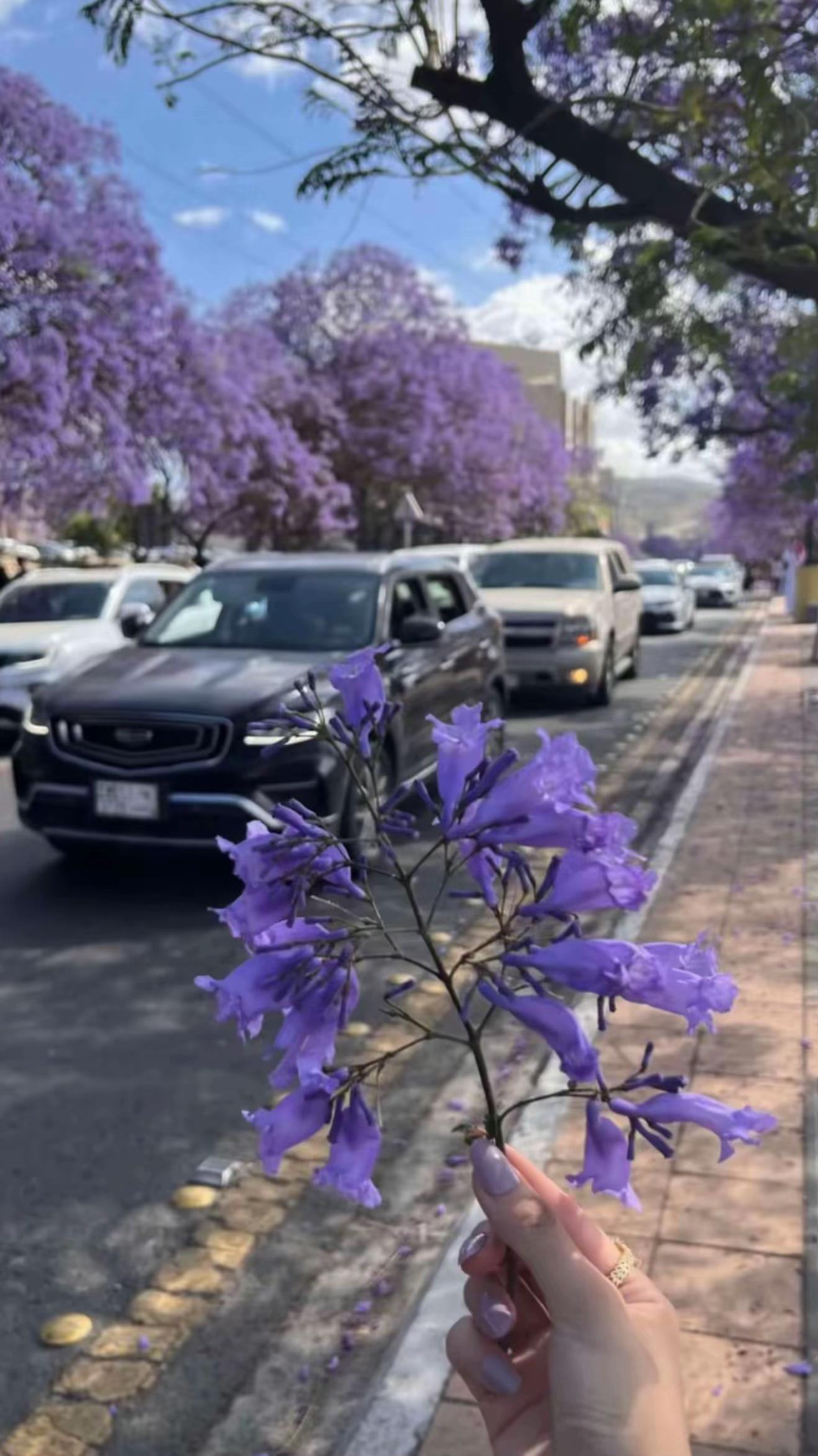 @نوره 📸🌱