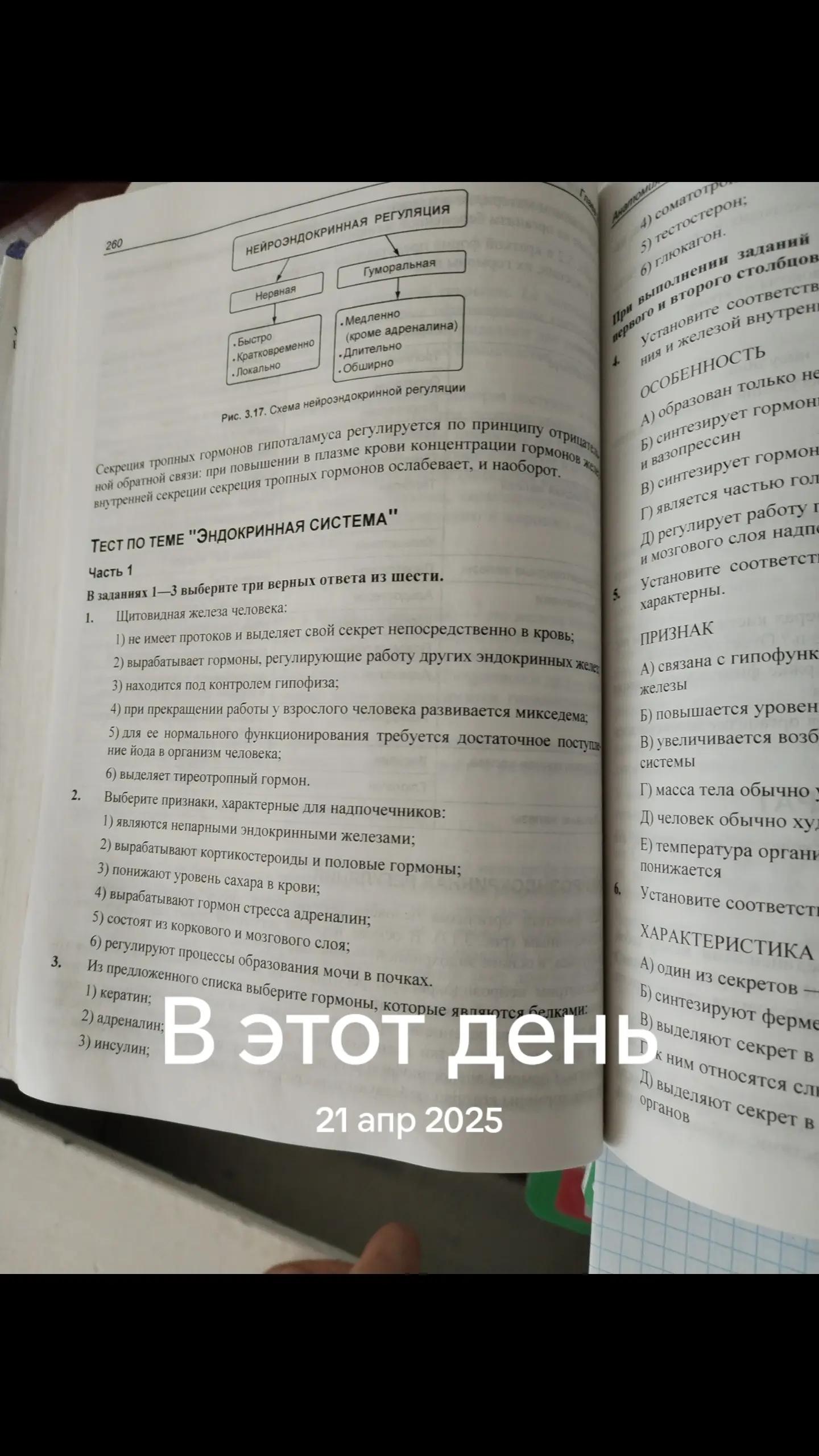 @дімас