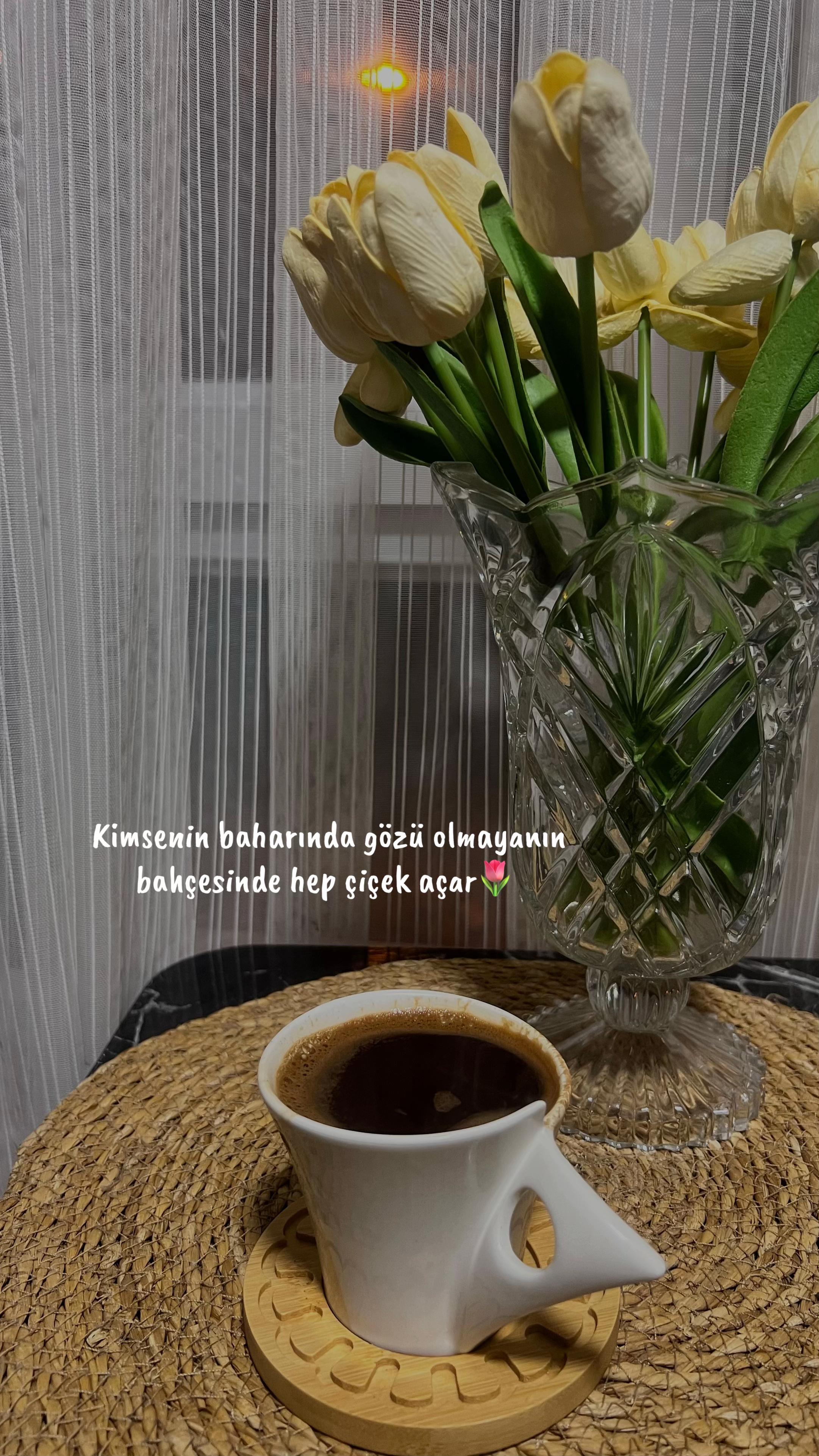 @dilekveli