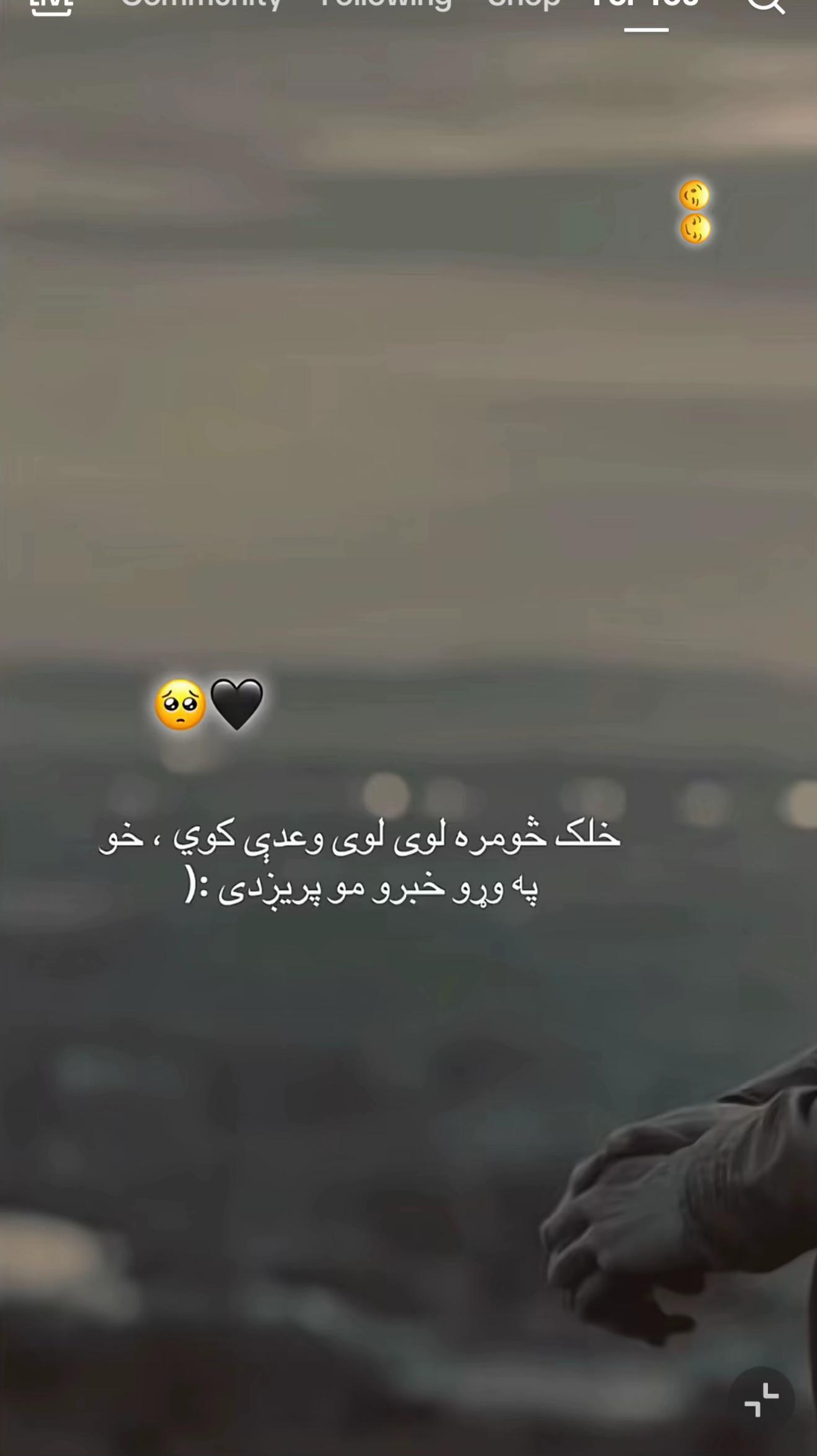 @🇦🇫Khalil 💫