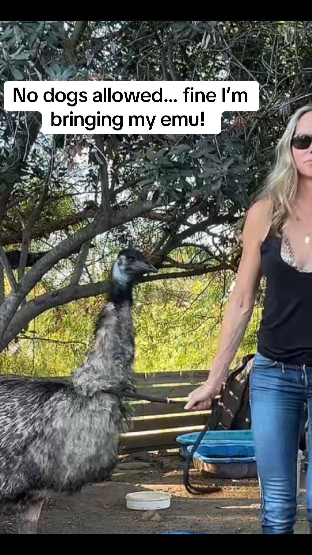 @staseasranch