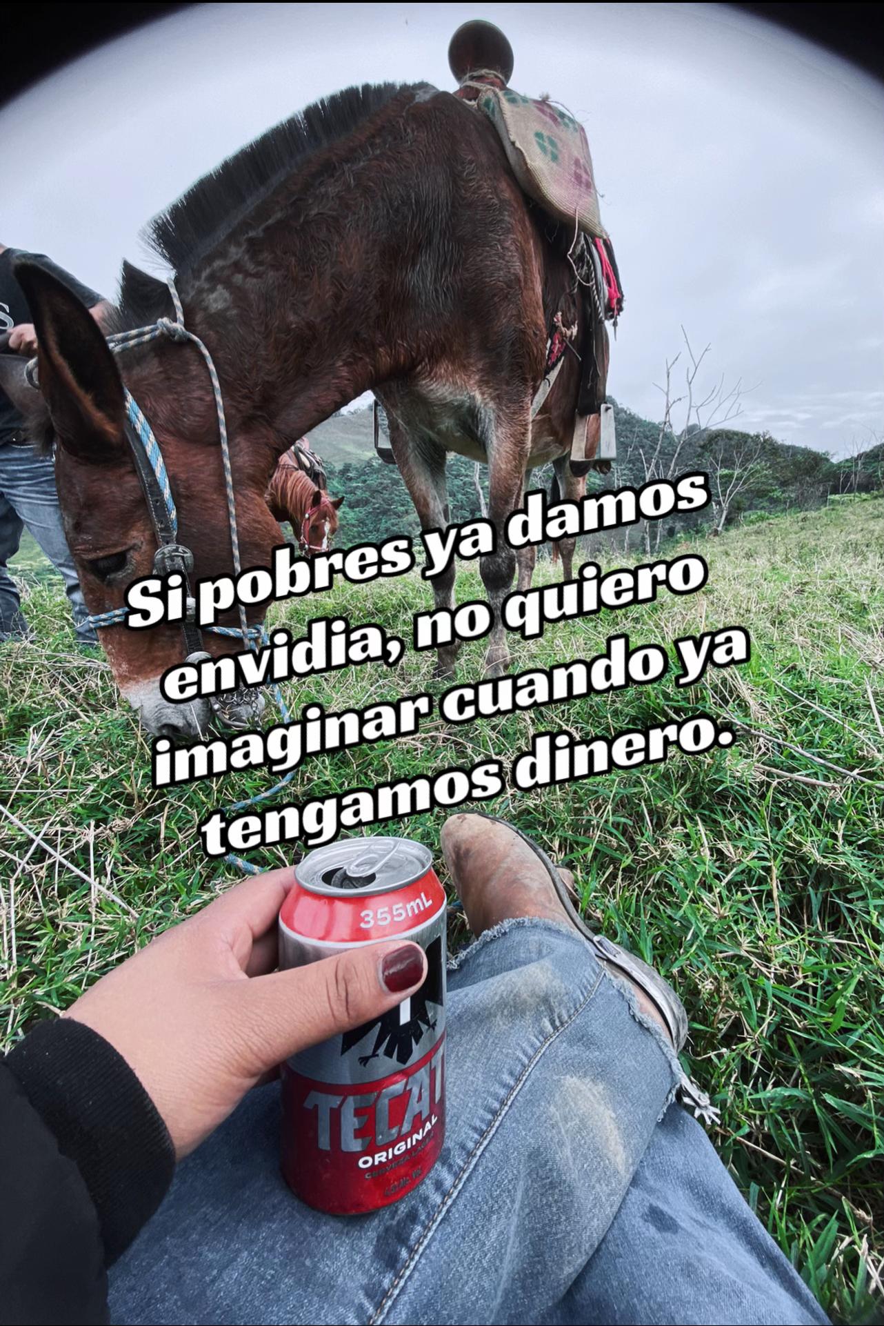 @️Karol