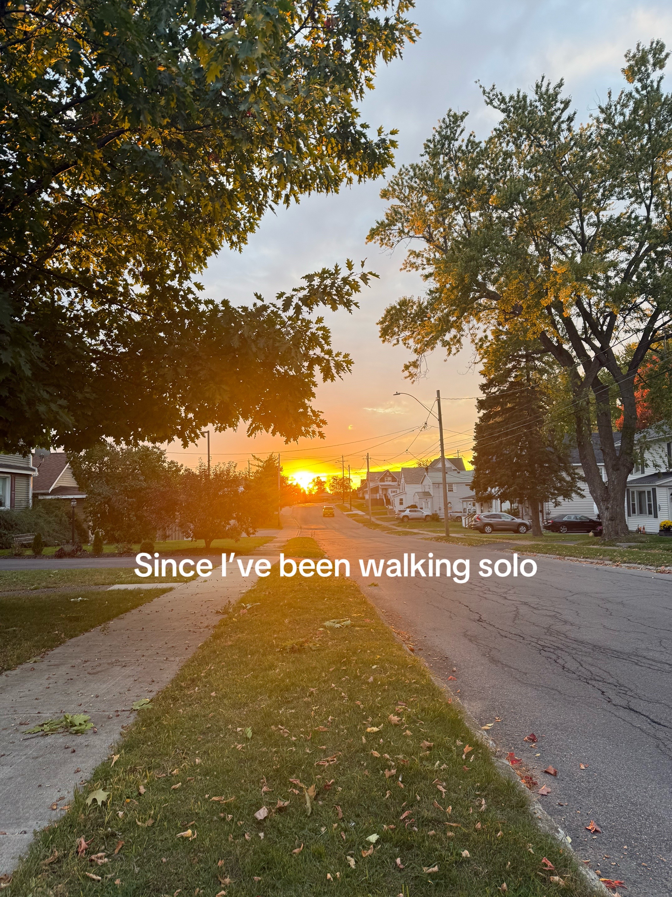 @Bella