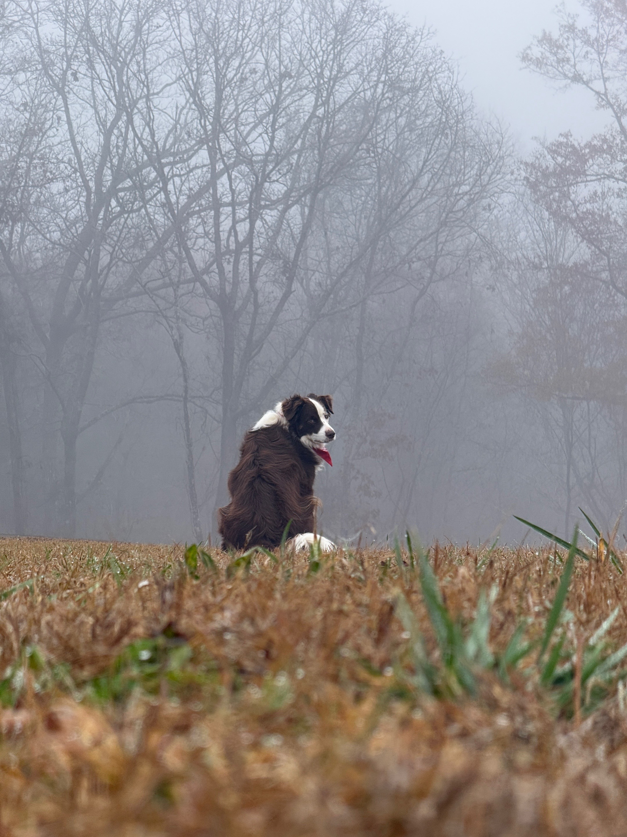 @Cog Hill Farm