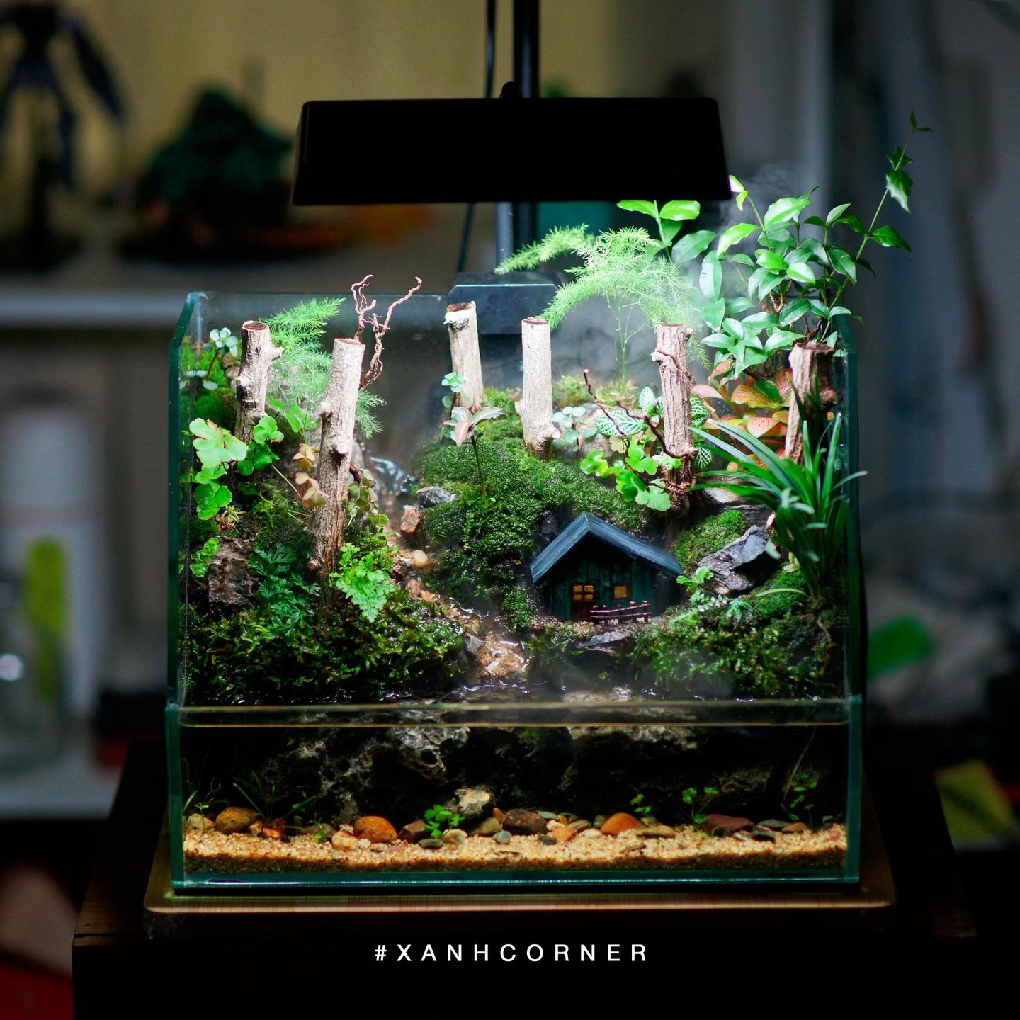 @XANH DECOR