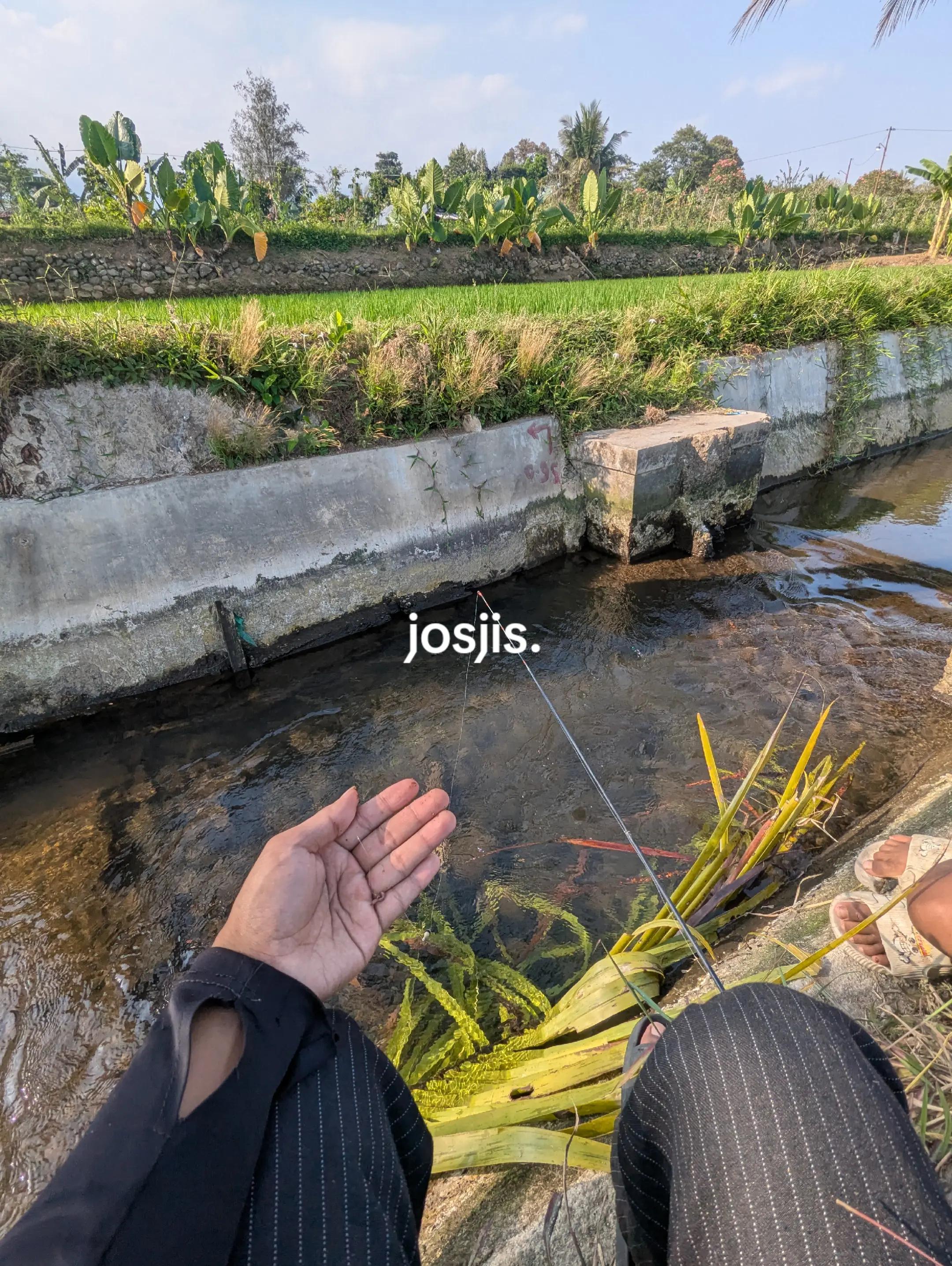 @Mancing Everyday