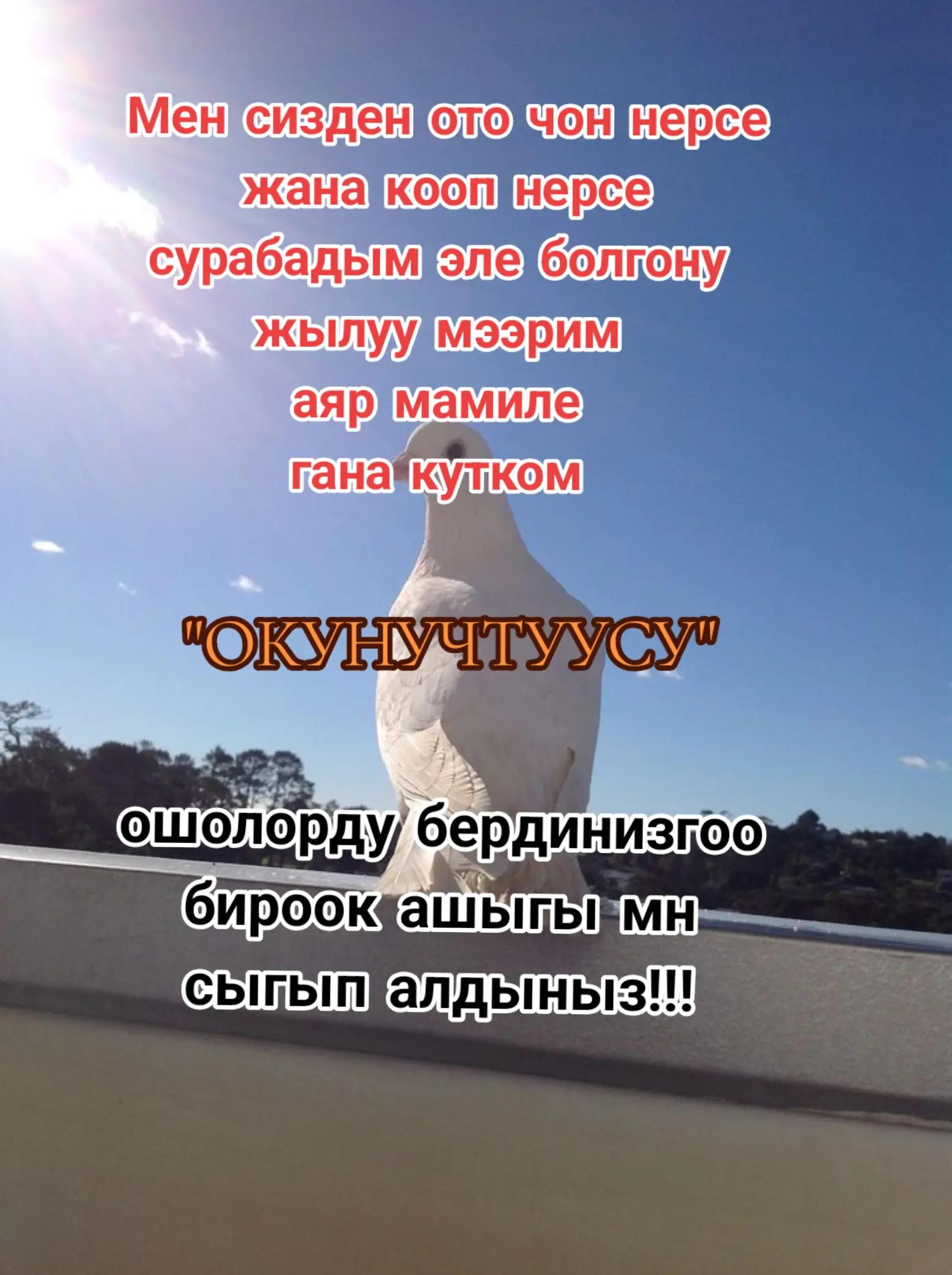 @🥀Сезим 💘мн💘ойнобо🥀