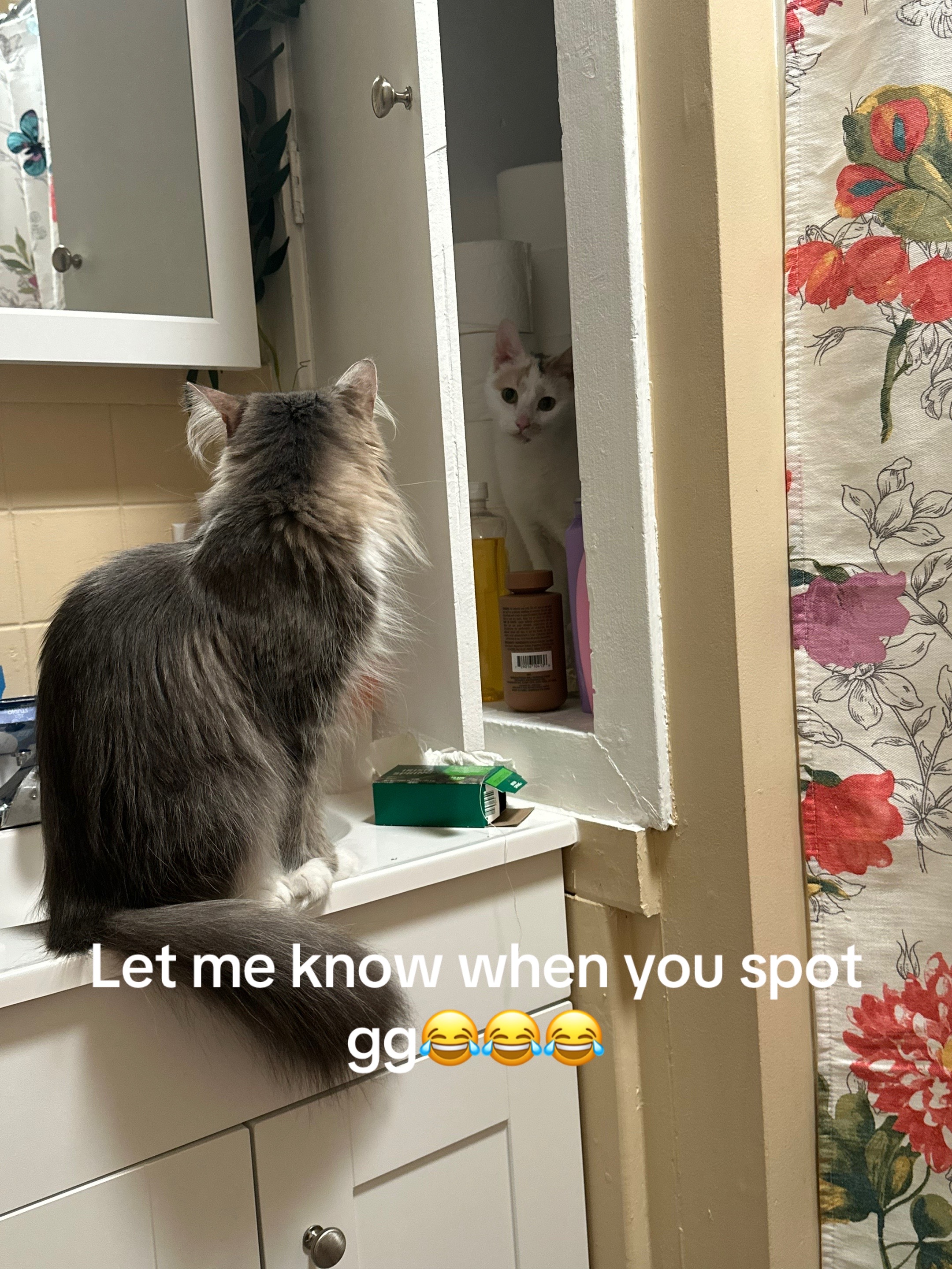 @EᒪIᘔᗩᗷETᕼᖇOᔕE🥀