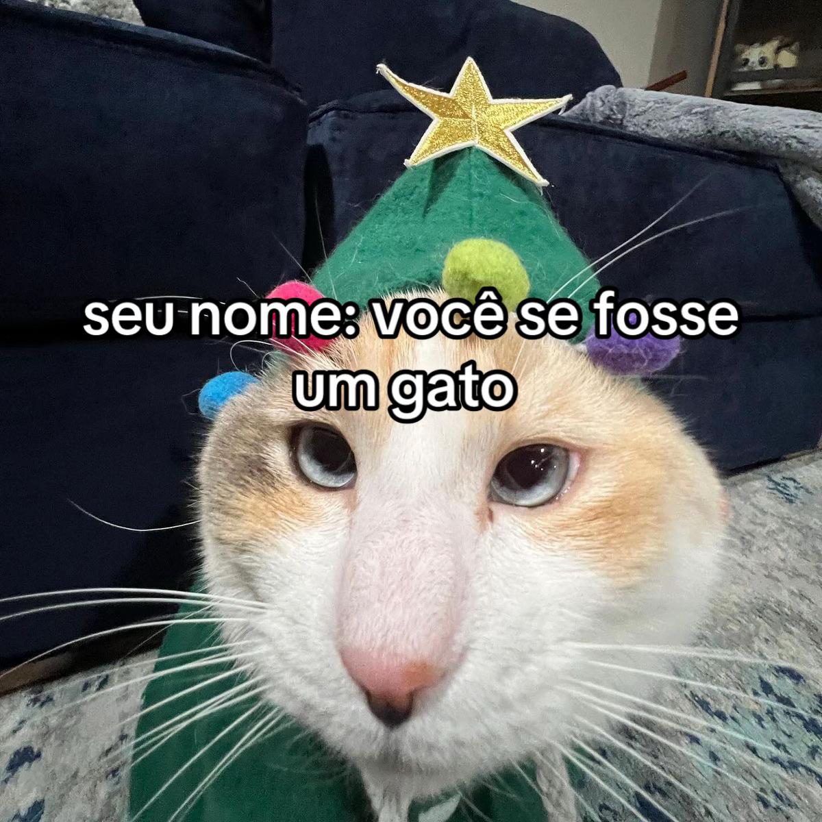@exemurvy