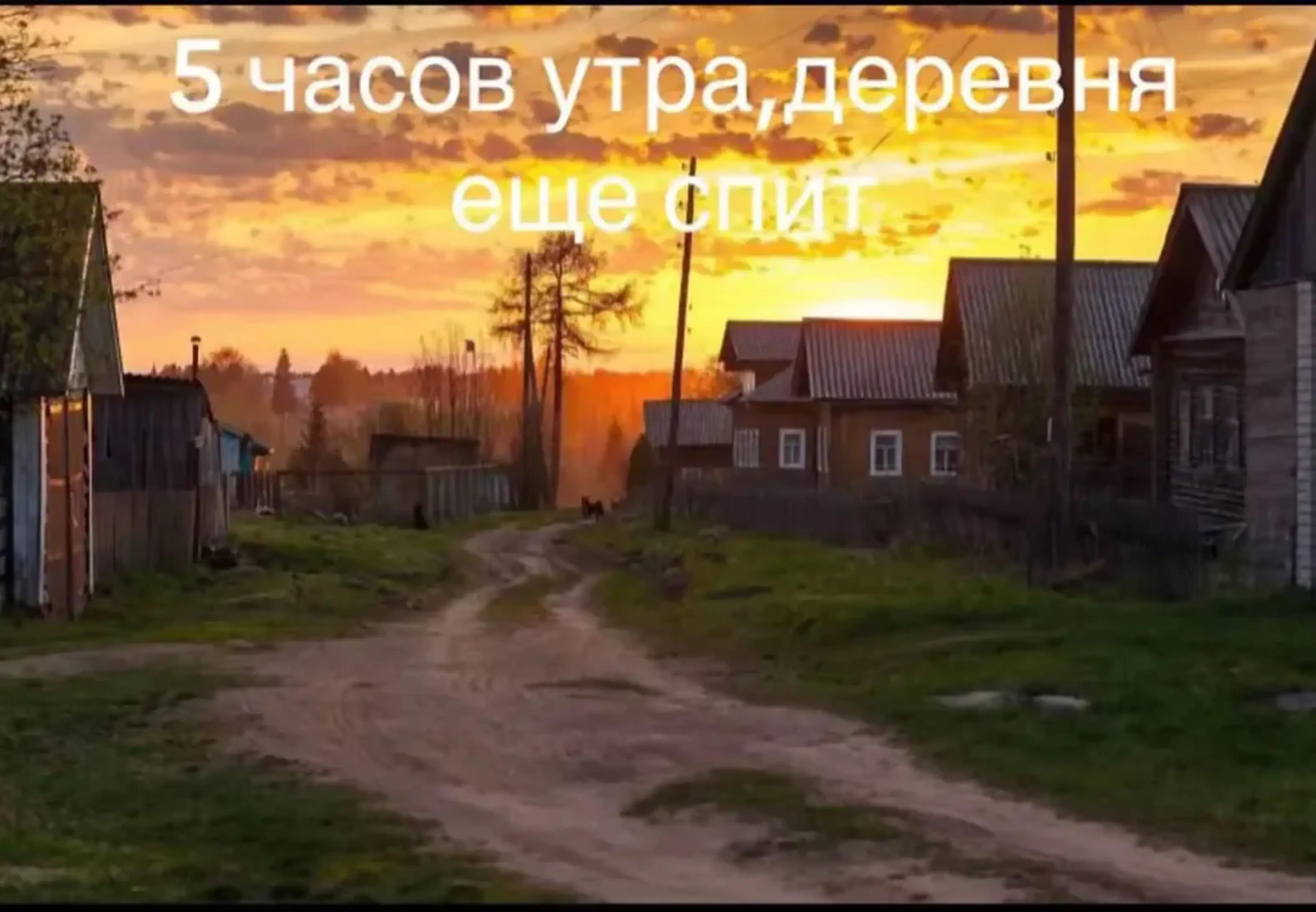 @шарапик 336