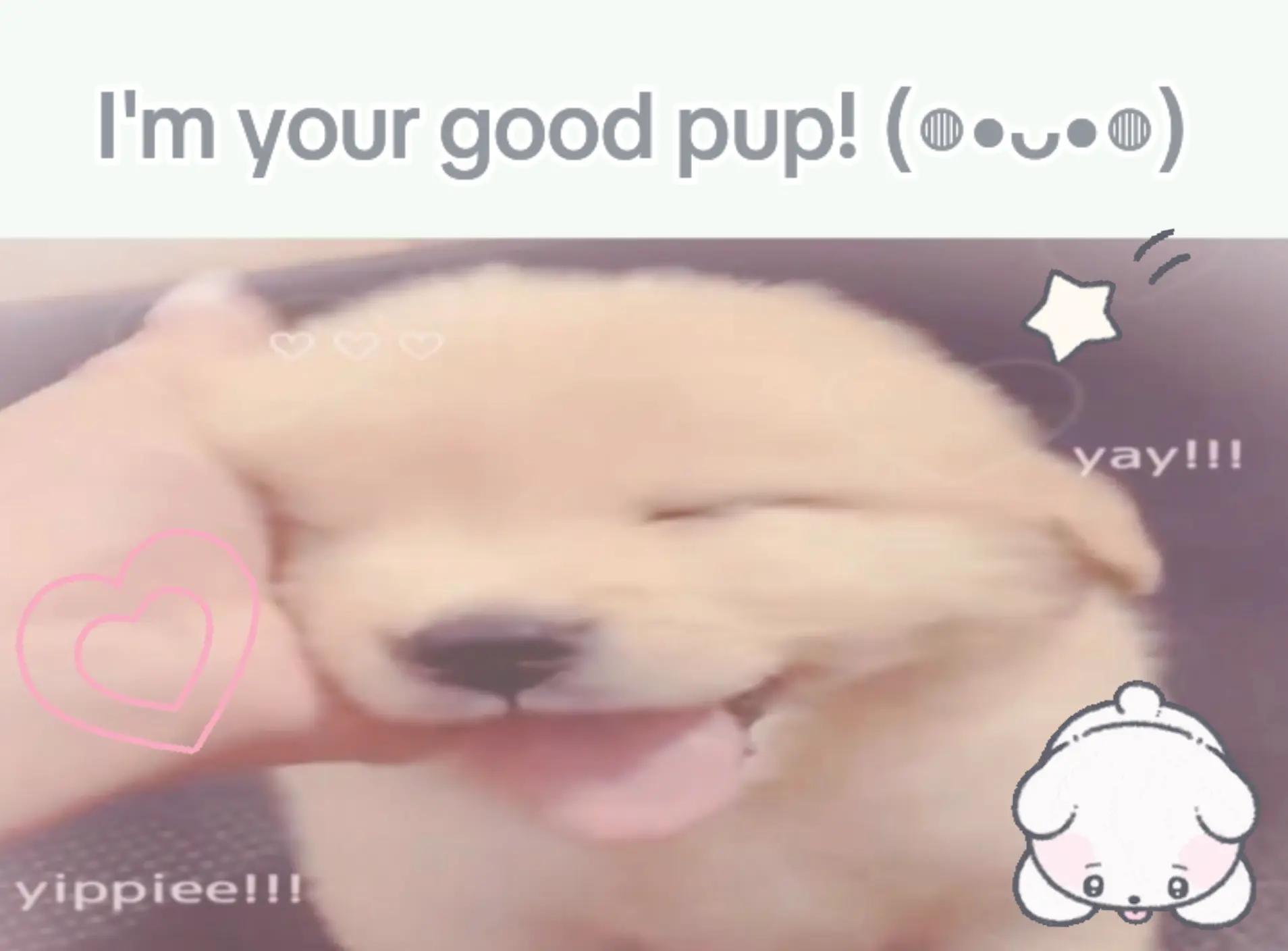 @problematic person