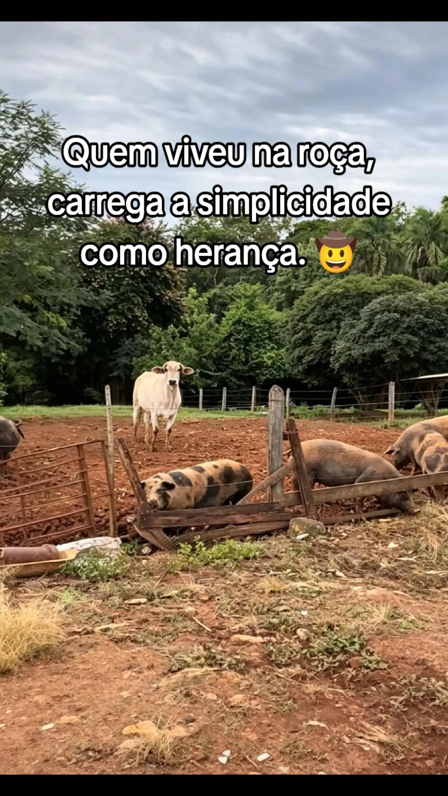 @Raiz da Roça Oficial