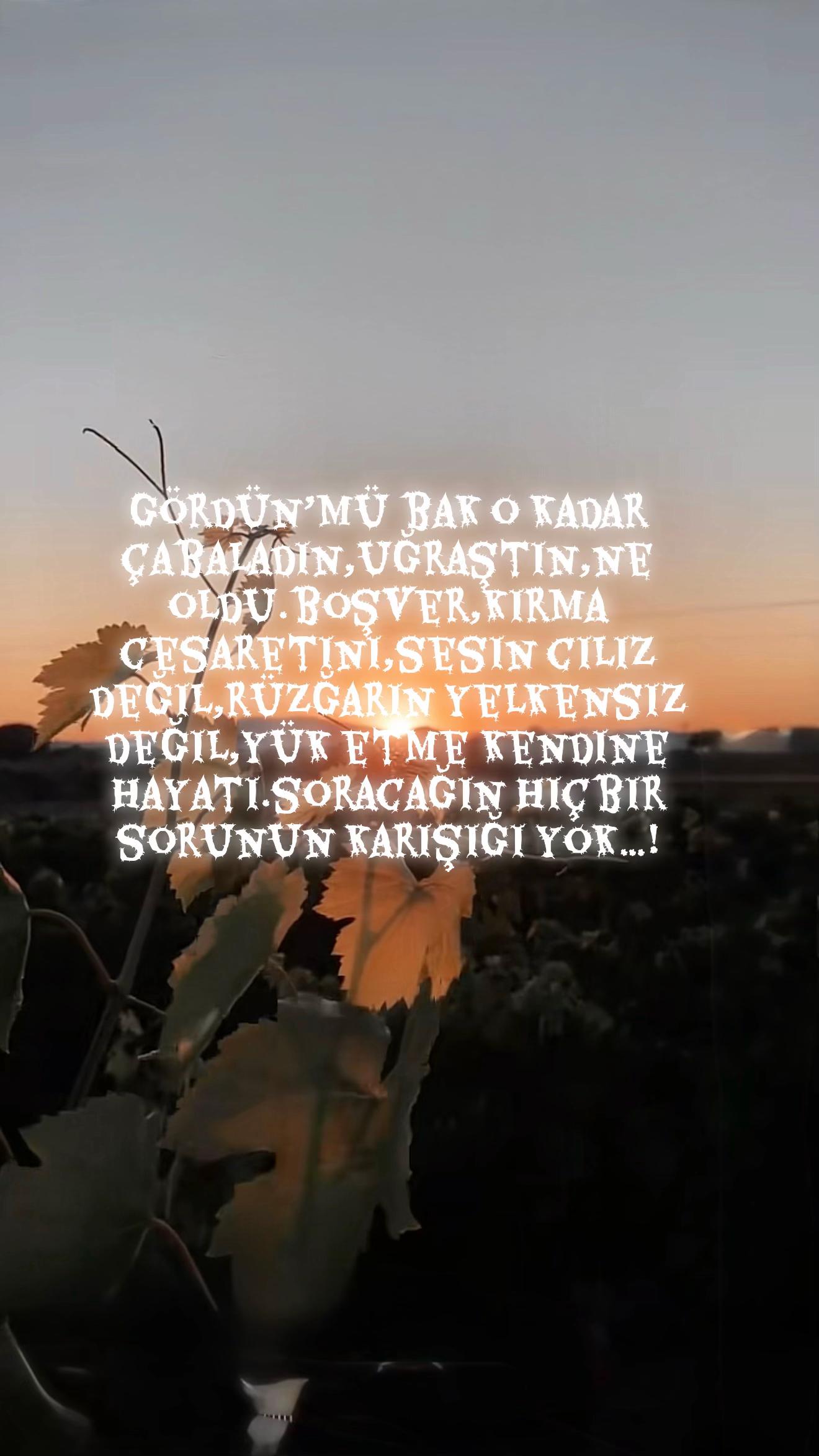 @Buzbeyi