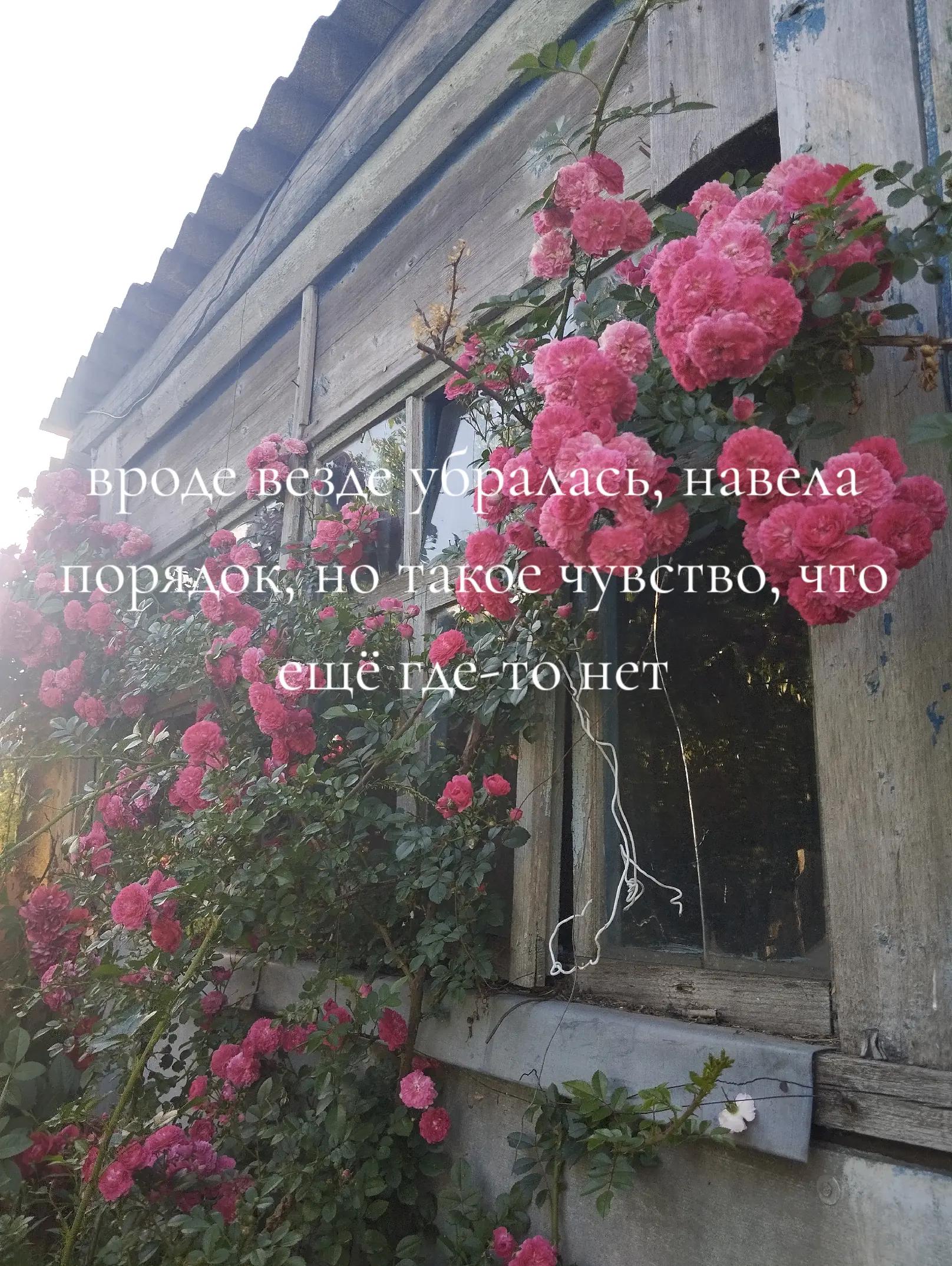 @настха🪬