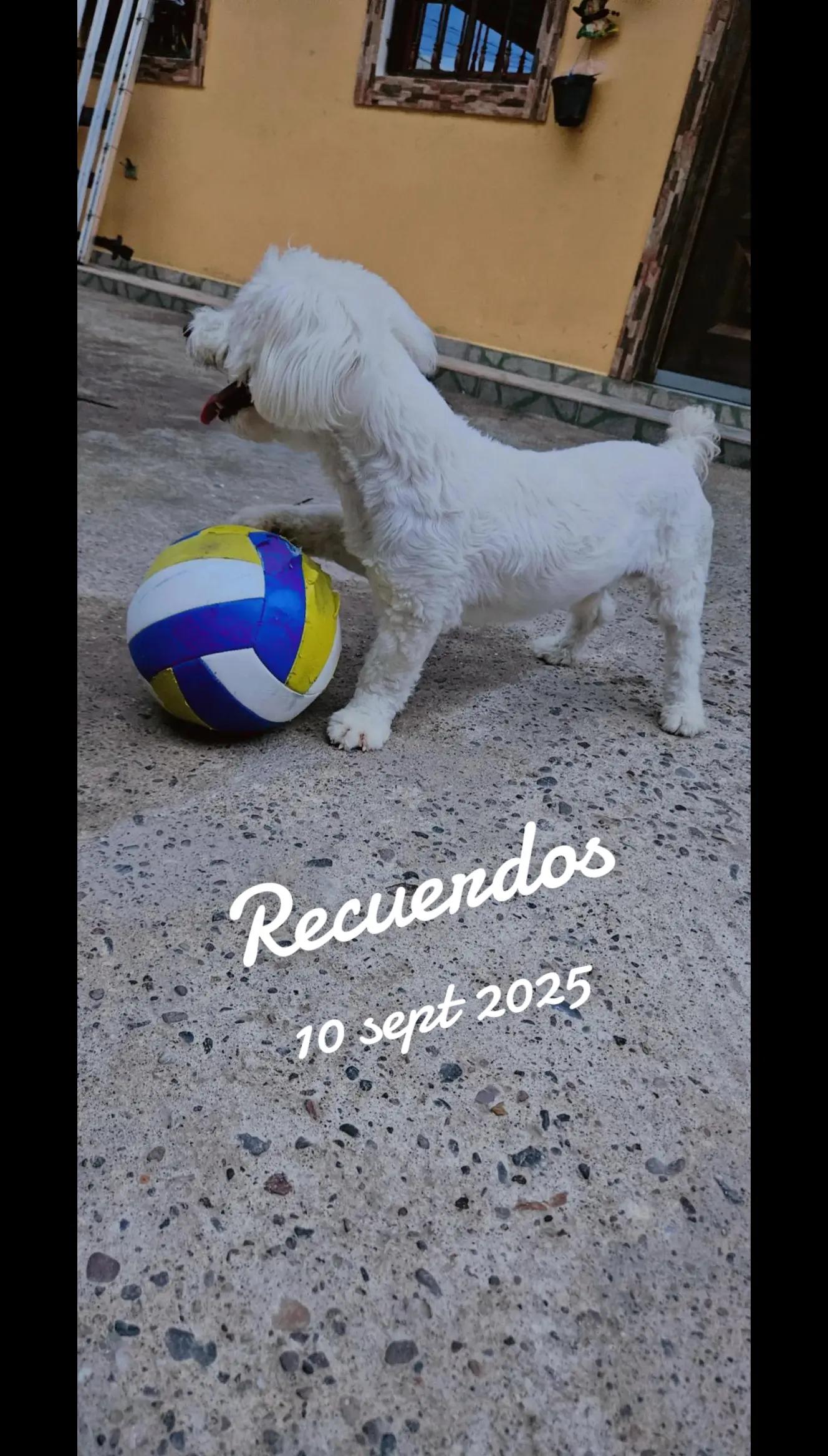 @Cristiï Maradiaga