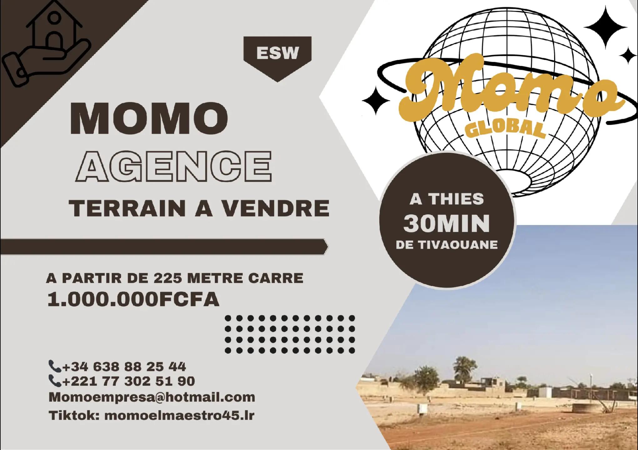 @MOMO EL MAESTRO LR🇸🇳🇪🇸