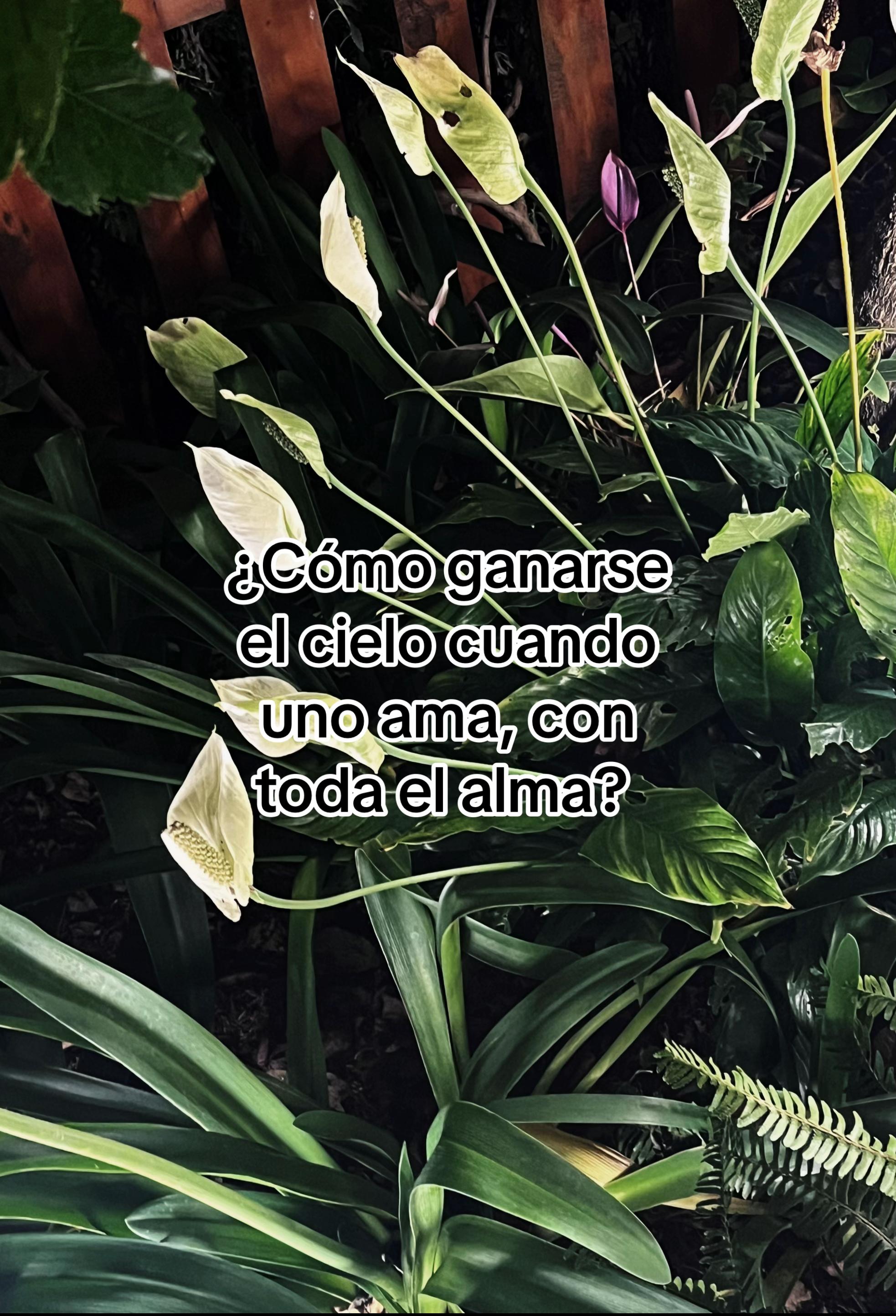 @Bel