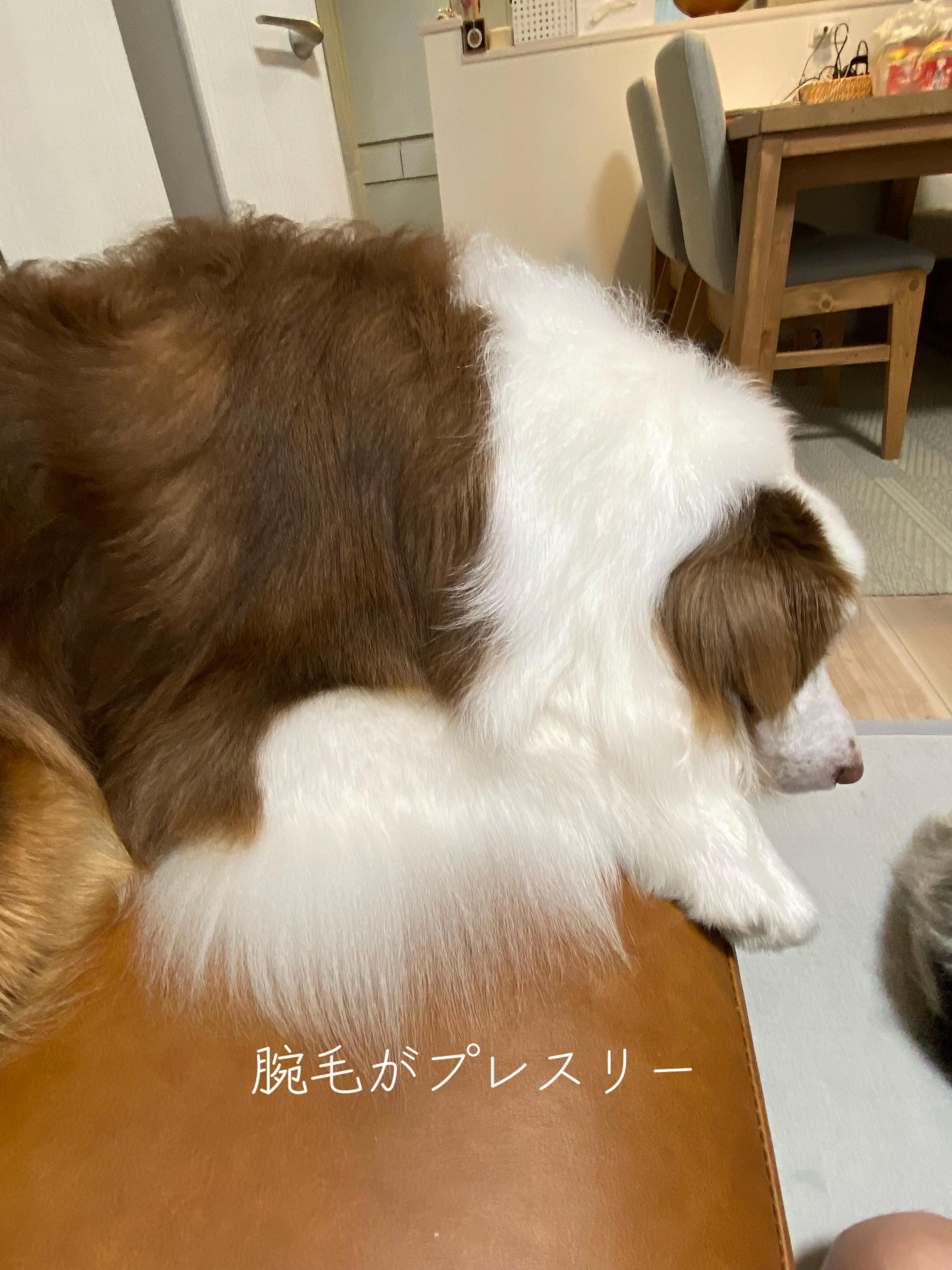 @サン&タマ